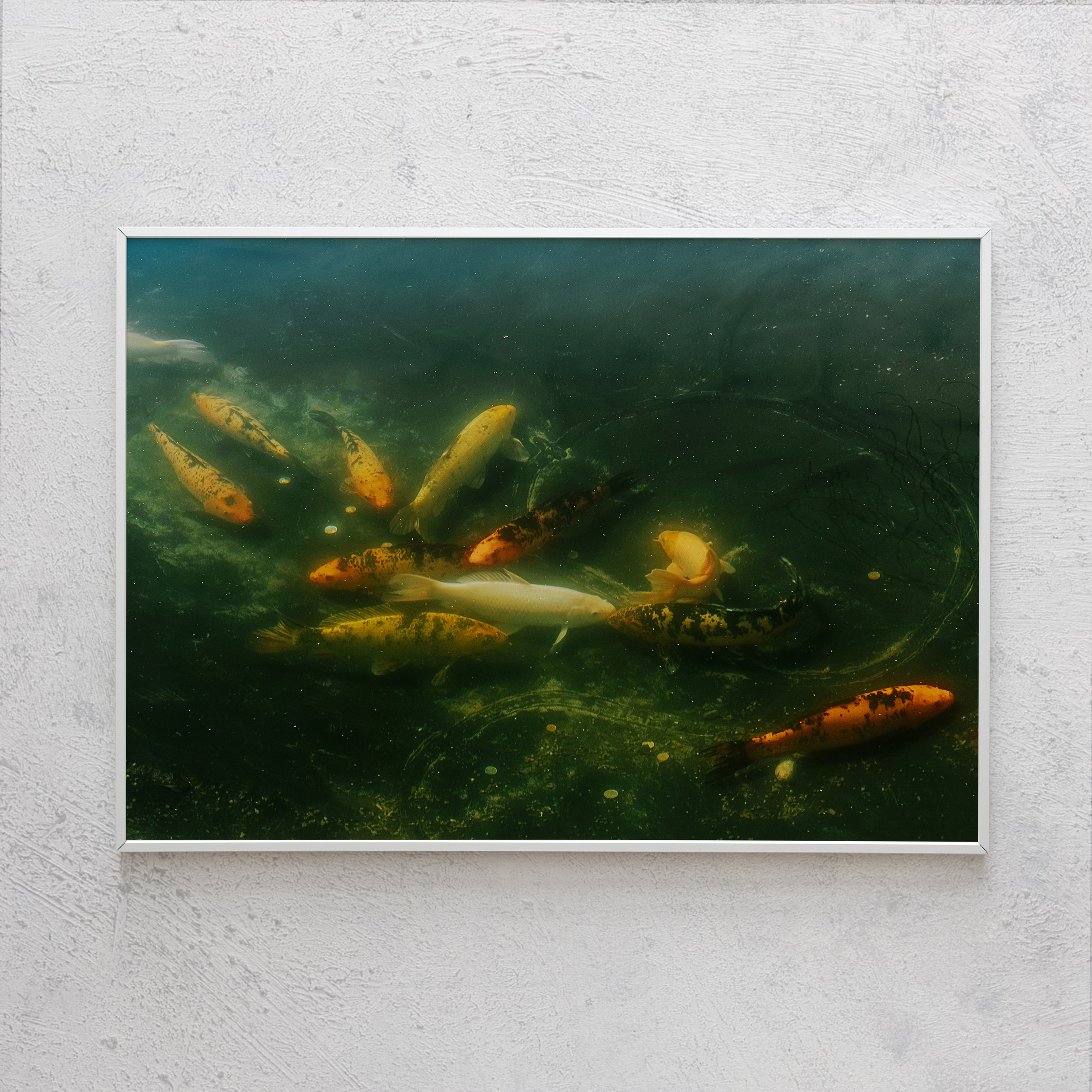 Печать интерьерных фотографий Кемерово