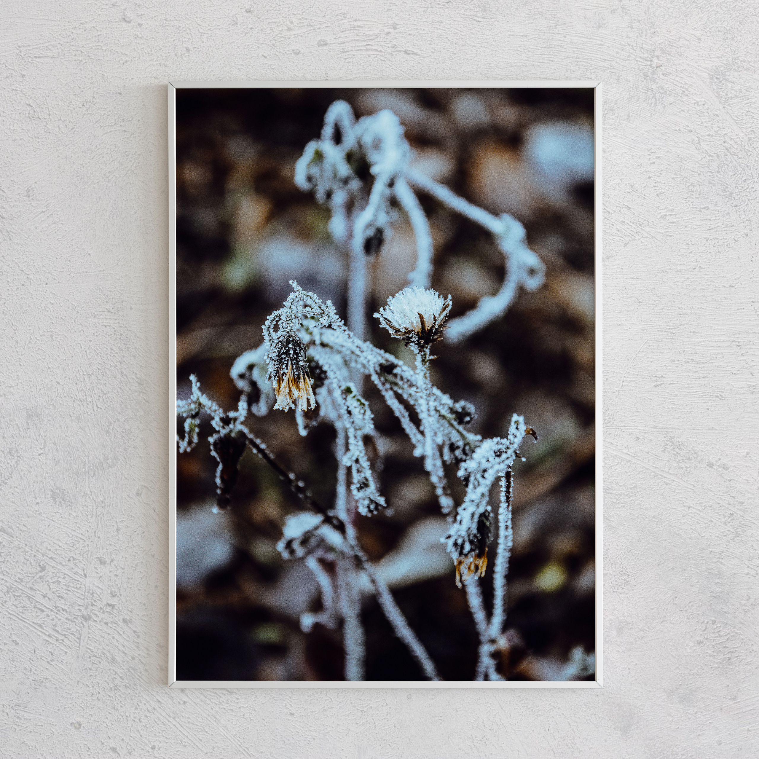 Печать интерьерных фотографий Кемерово