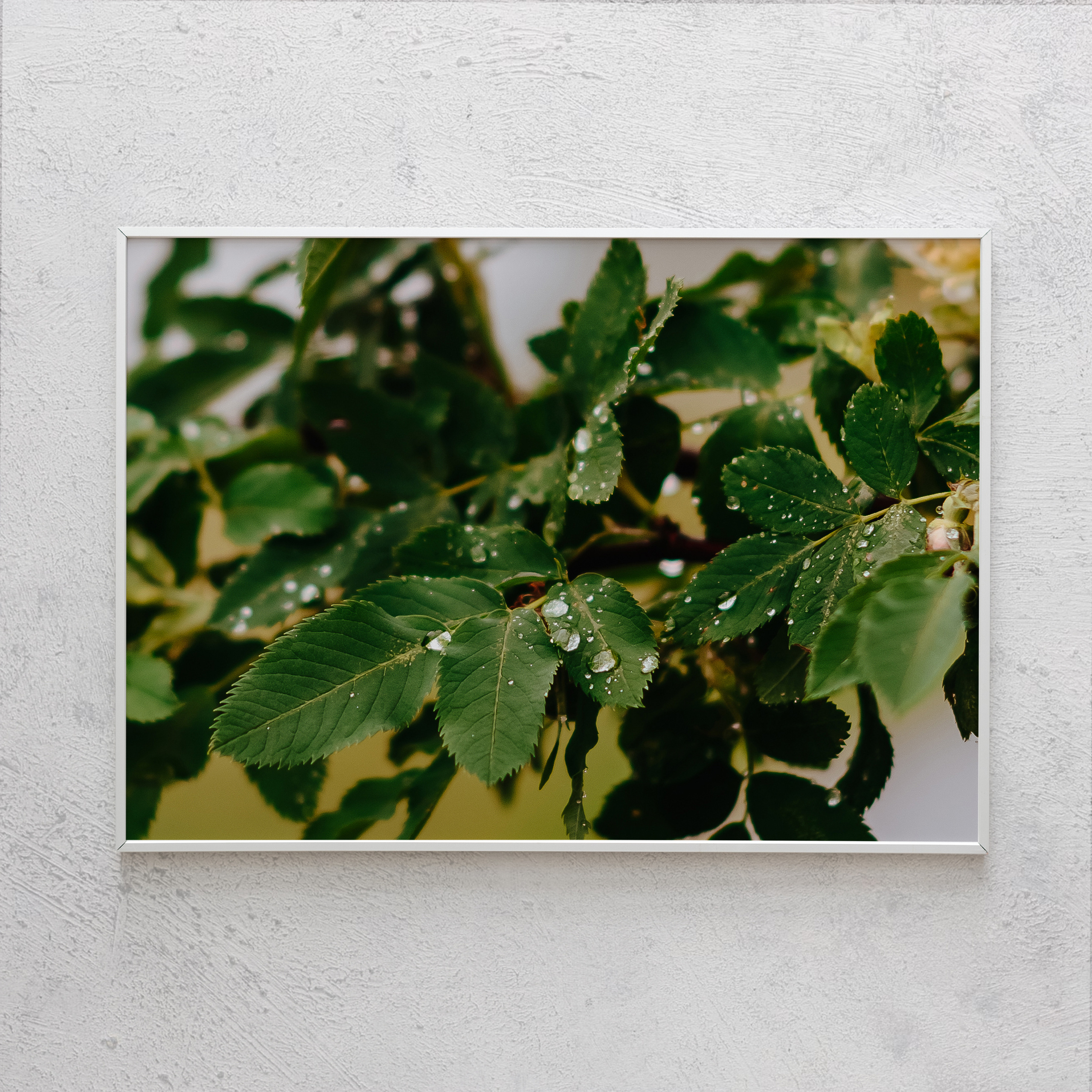 Печать интерьерных фотографий Кемерово