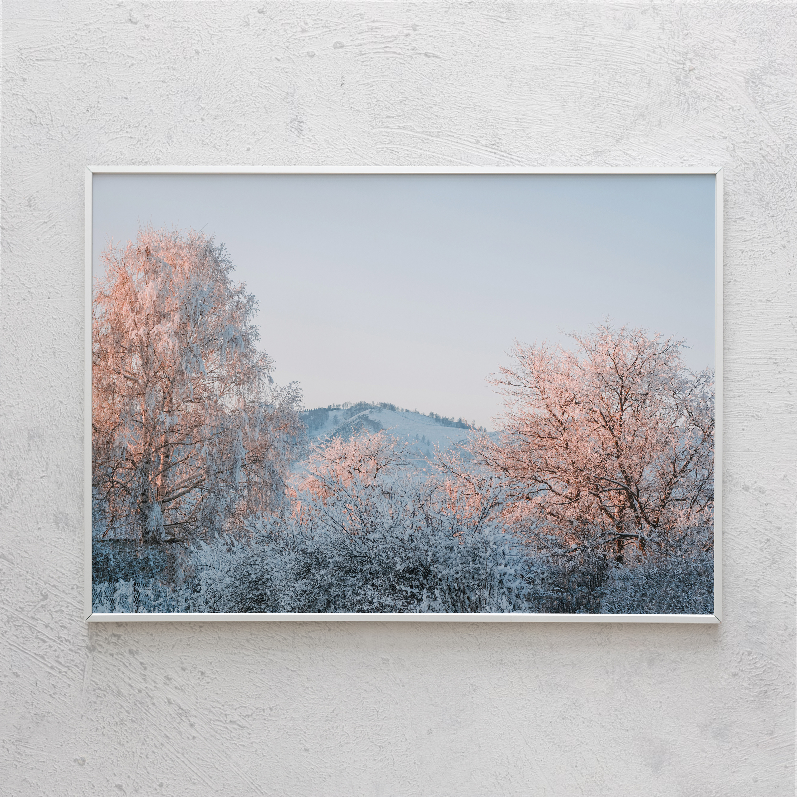 Печать интерьерных фотографий Кемерово