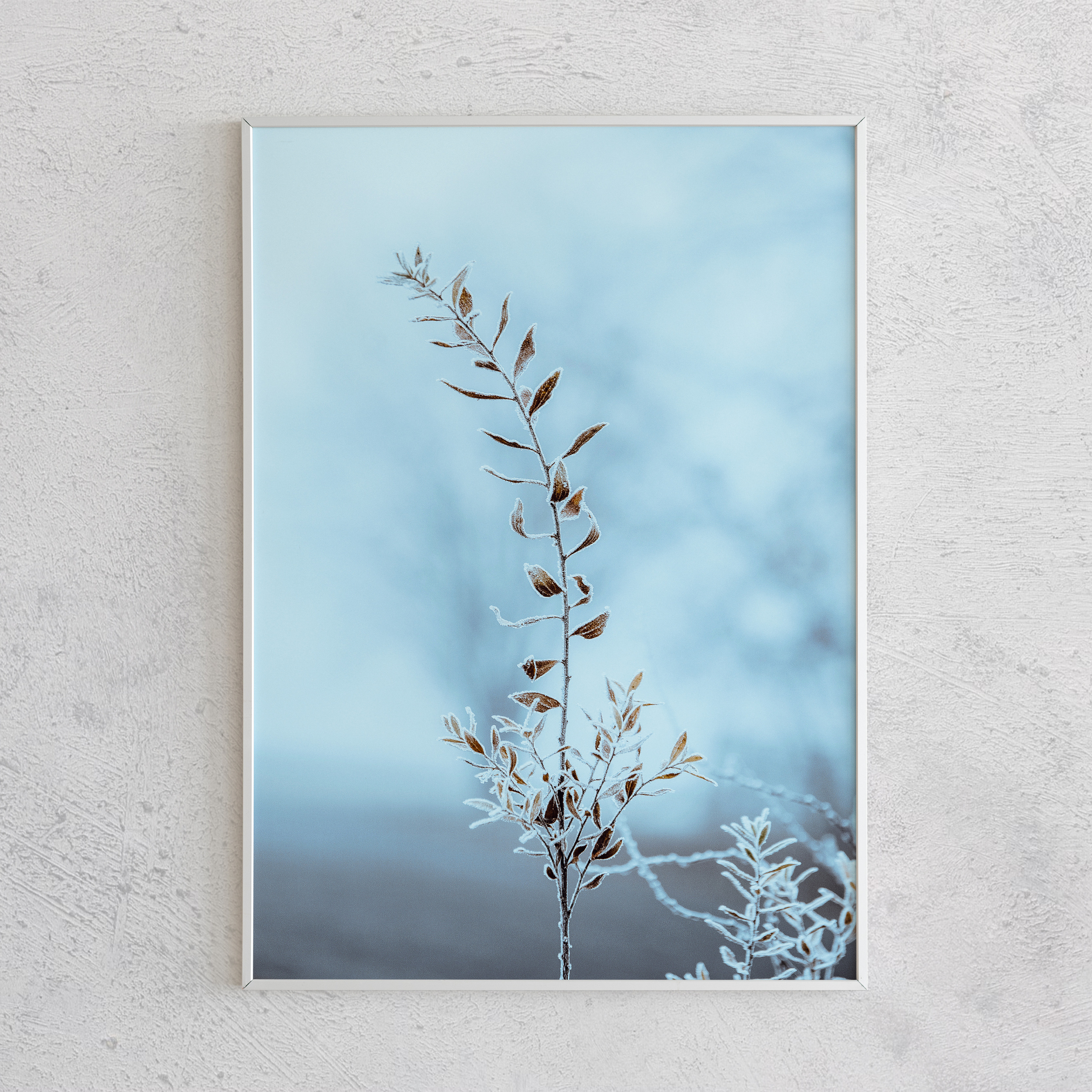 Печать интерьерных фотографий Кемерово