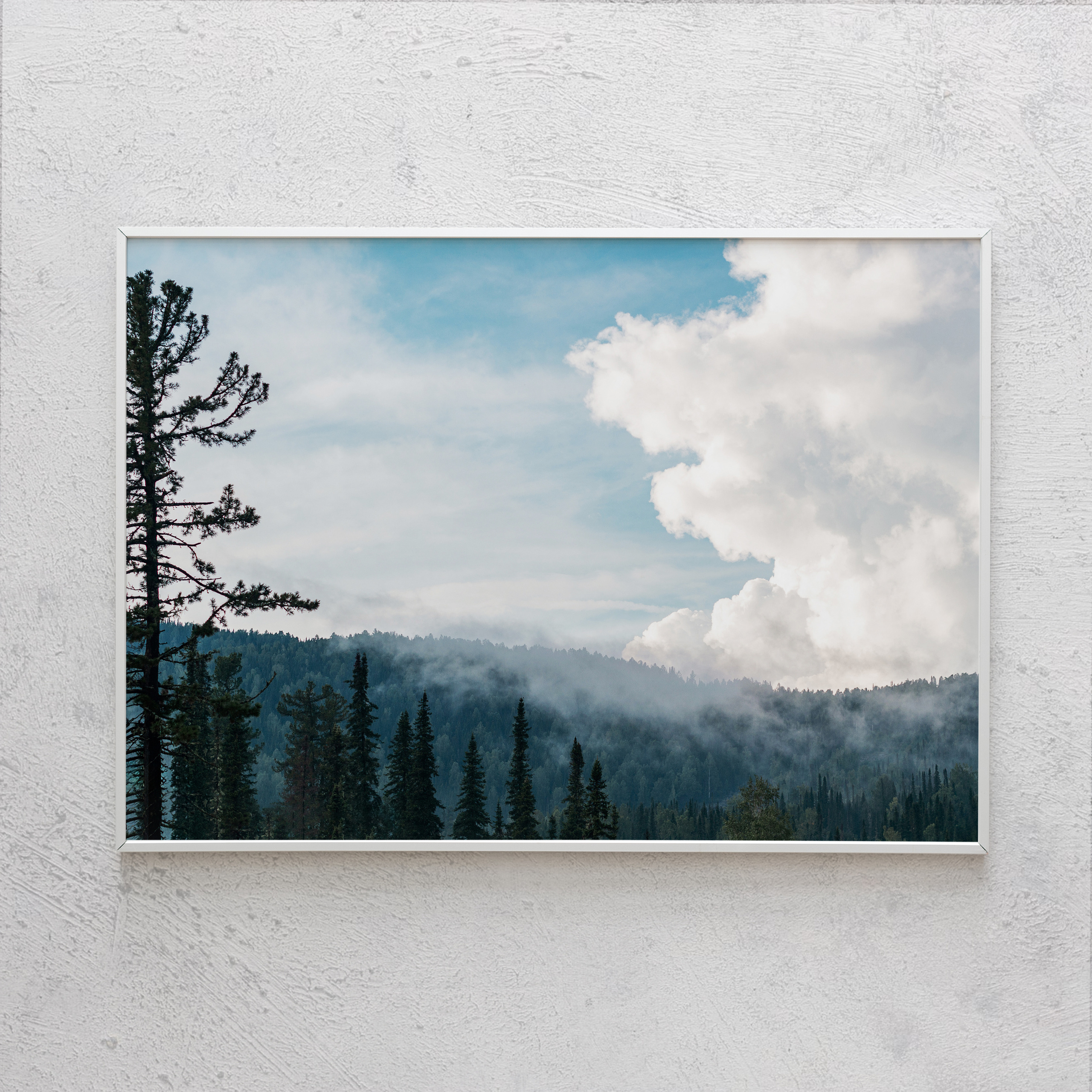 Печать интерьерных фотографий Кемерово