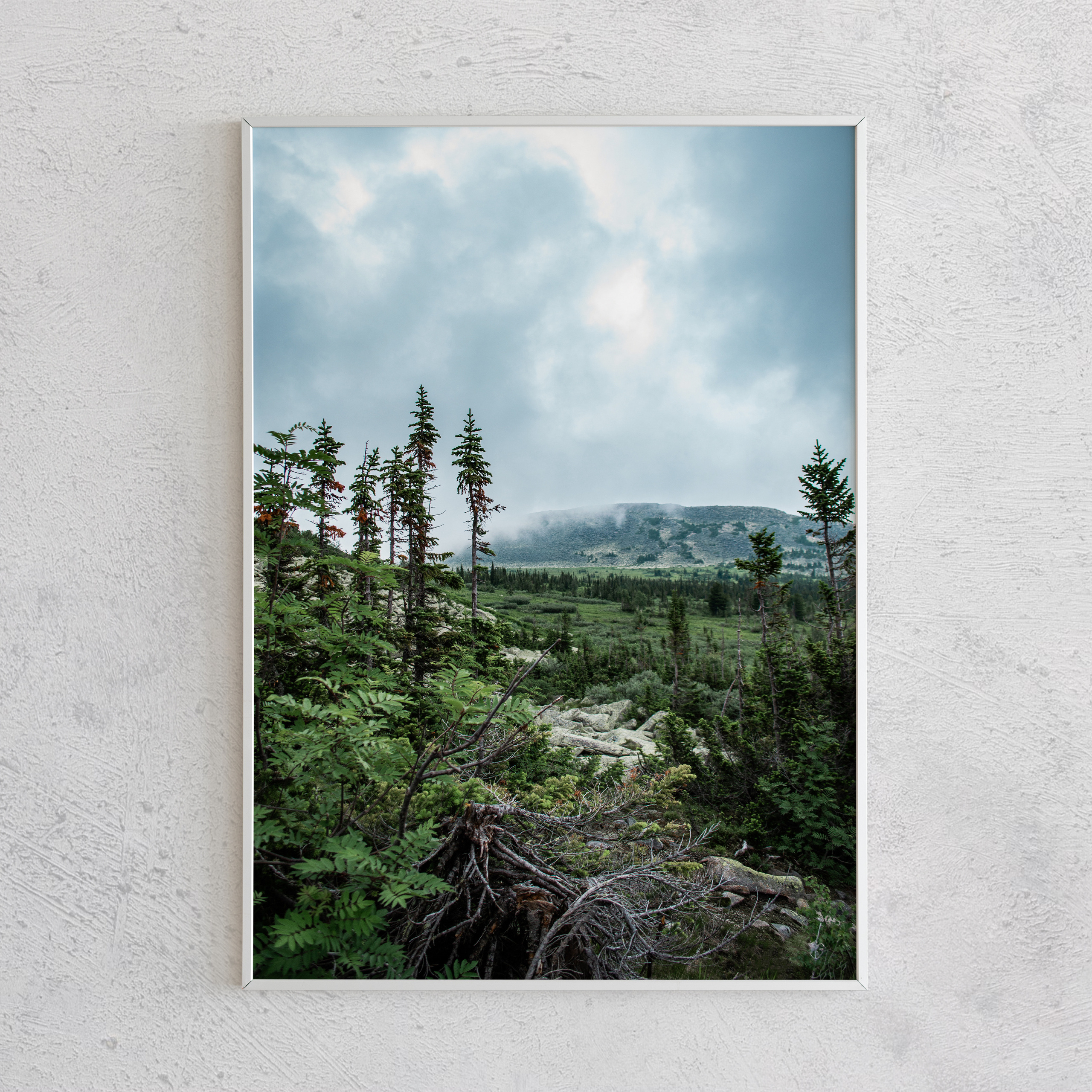 Печать интерьерных фотографий Кемерово