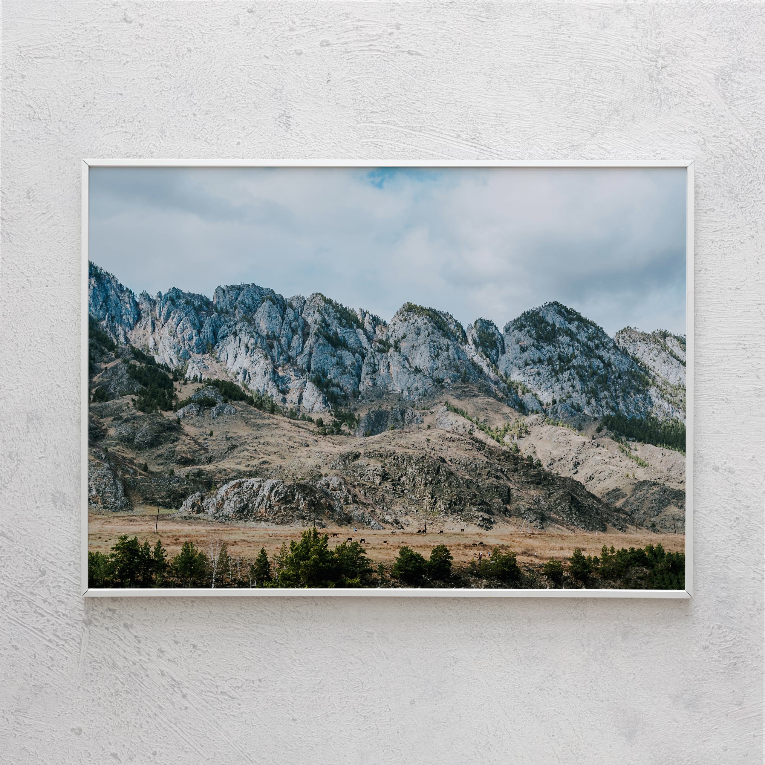 Печать интерьерных фотографий Кемерово