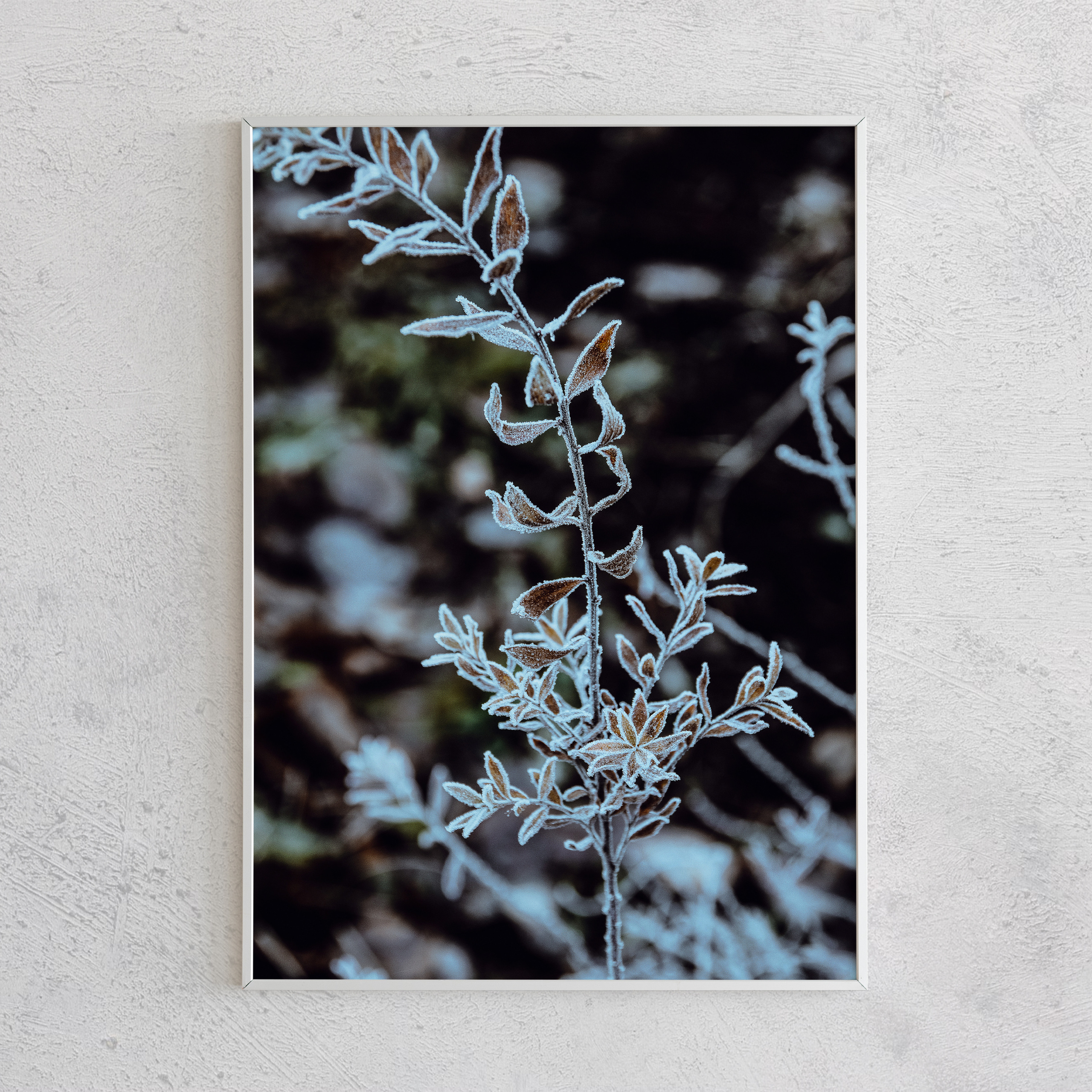 Печать интерьерных фотографий Кемерово