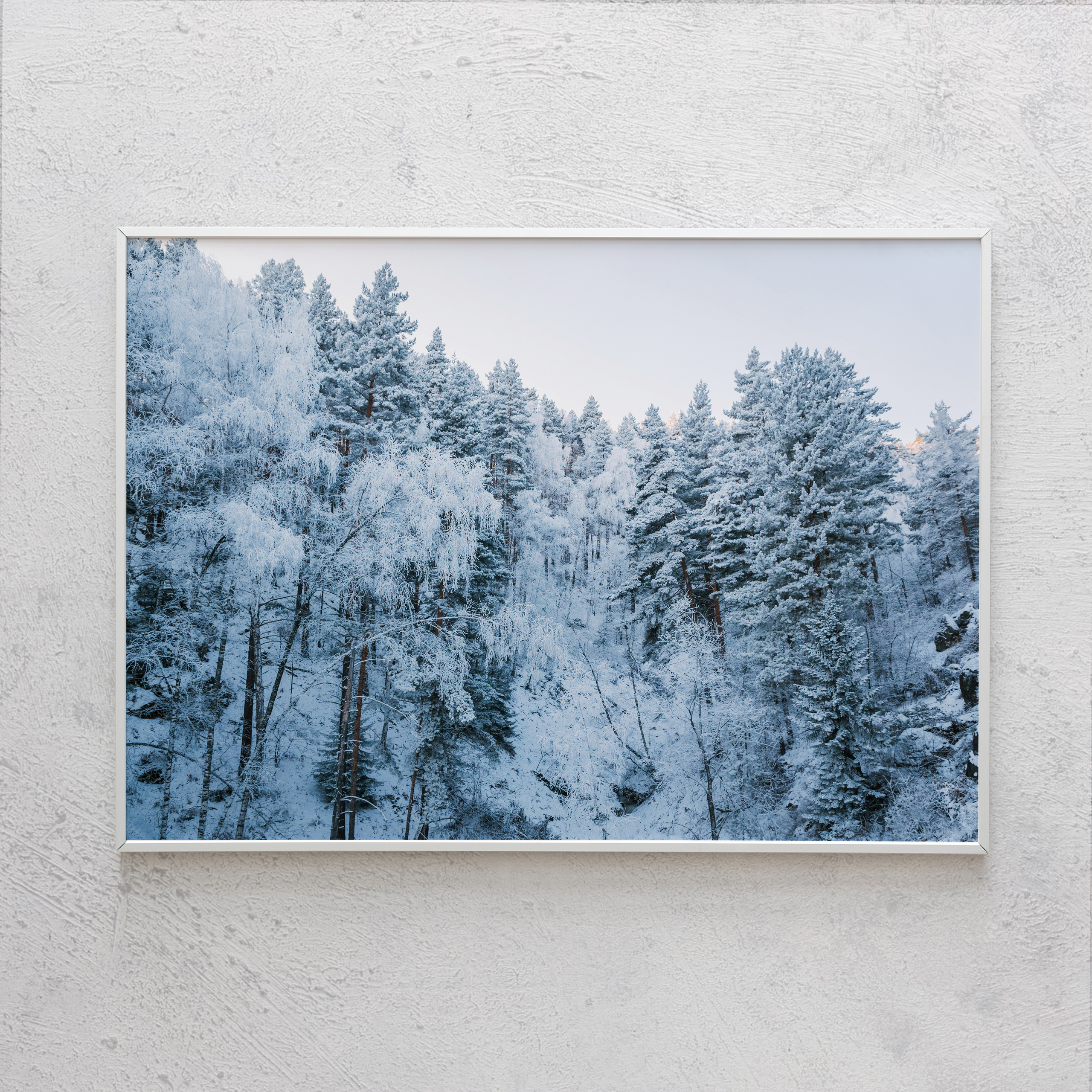 Печать интерьерных фотографий Кемерово