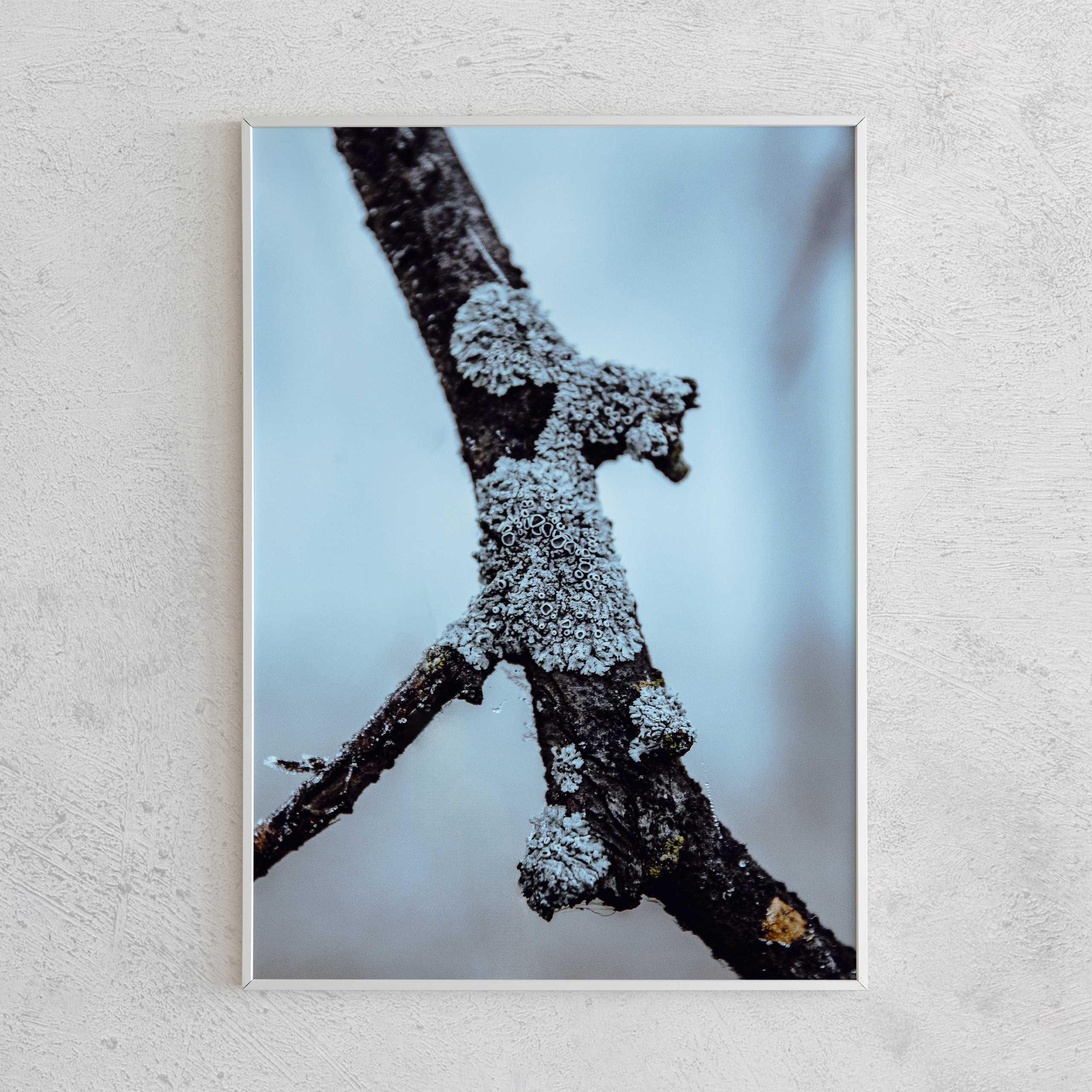 Печать интерьерных фотографий Кемерово