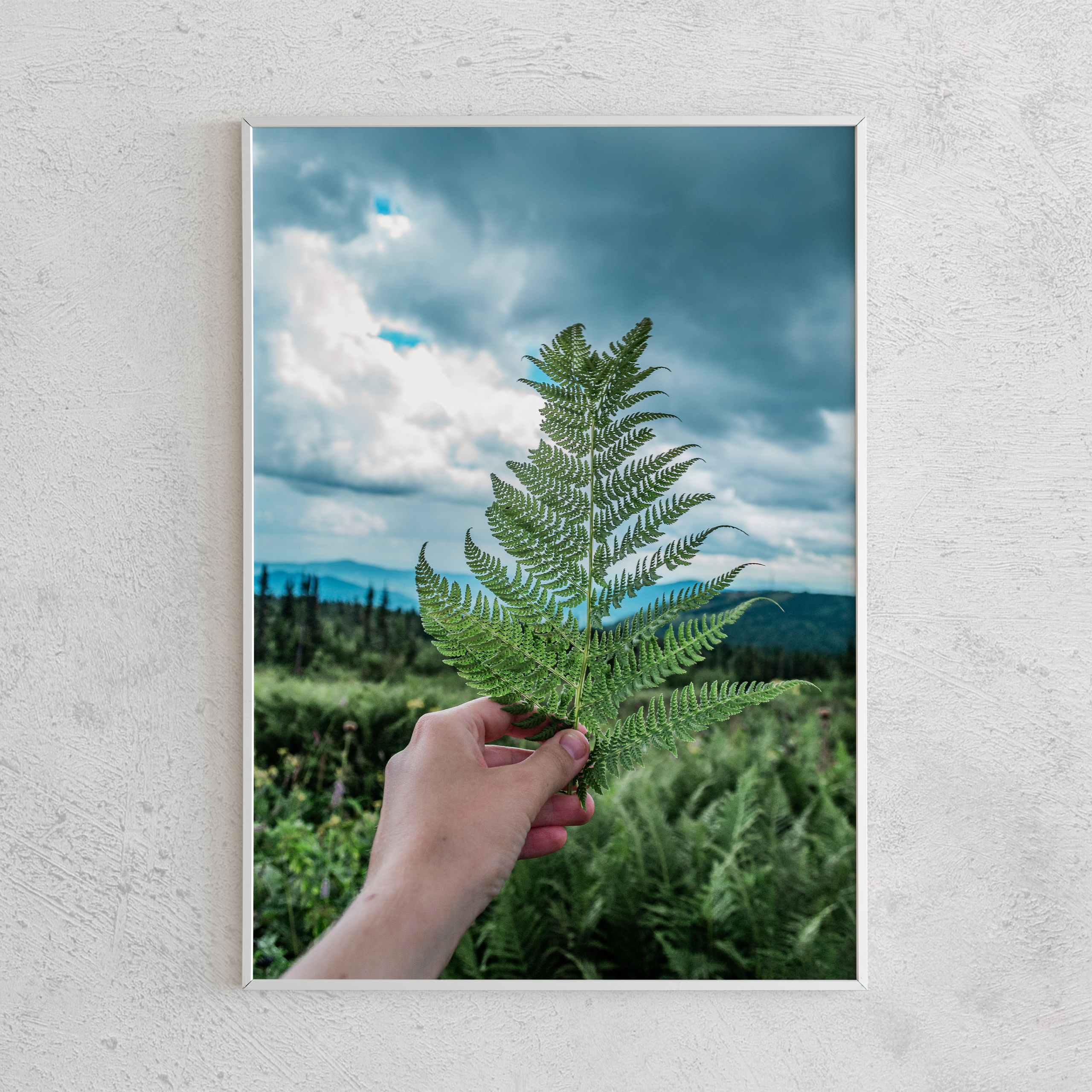 Печать интерьерных фотографий Кемерово