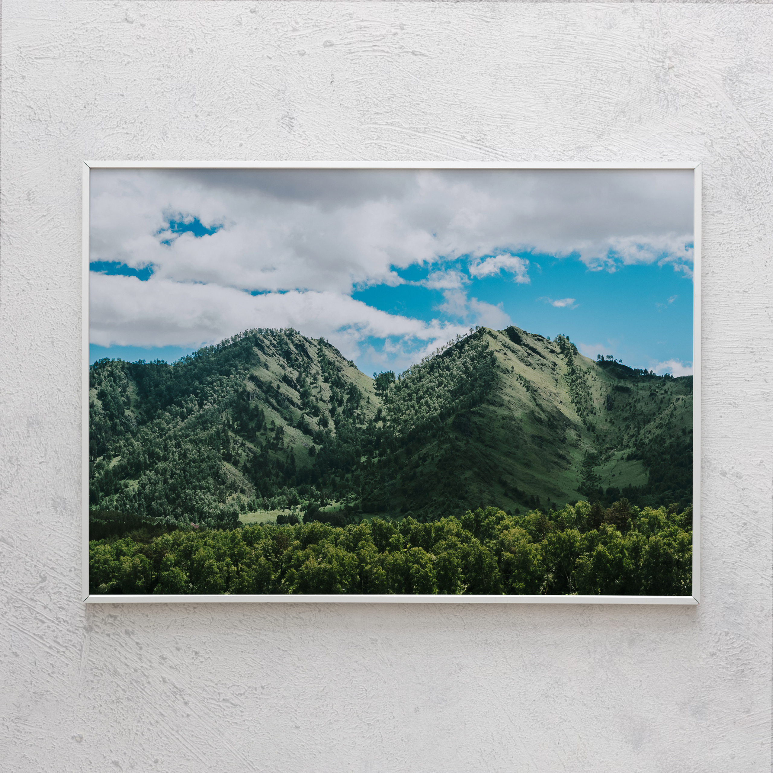 Печать интерьерных фотографий Кемерово