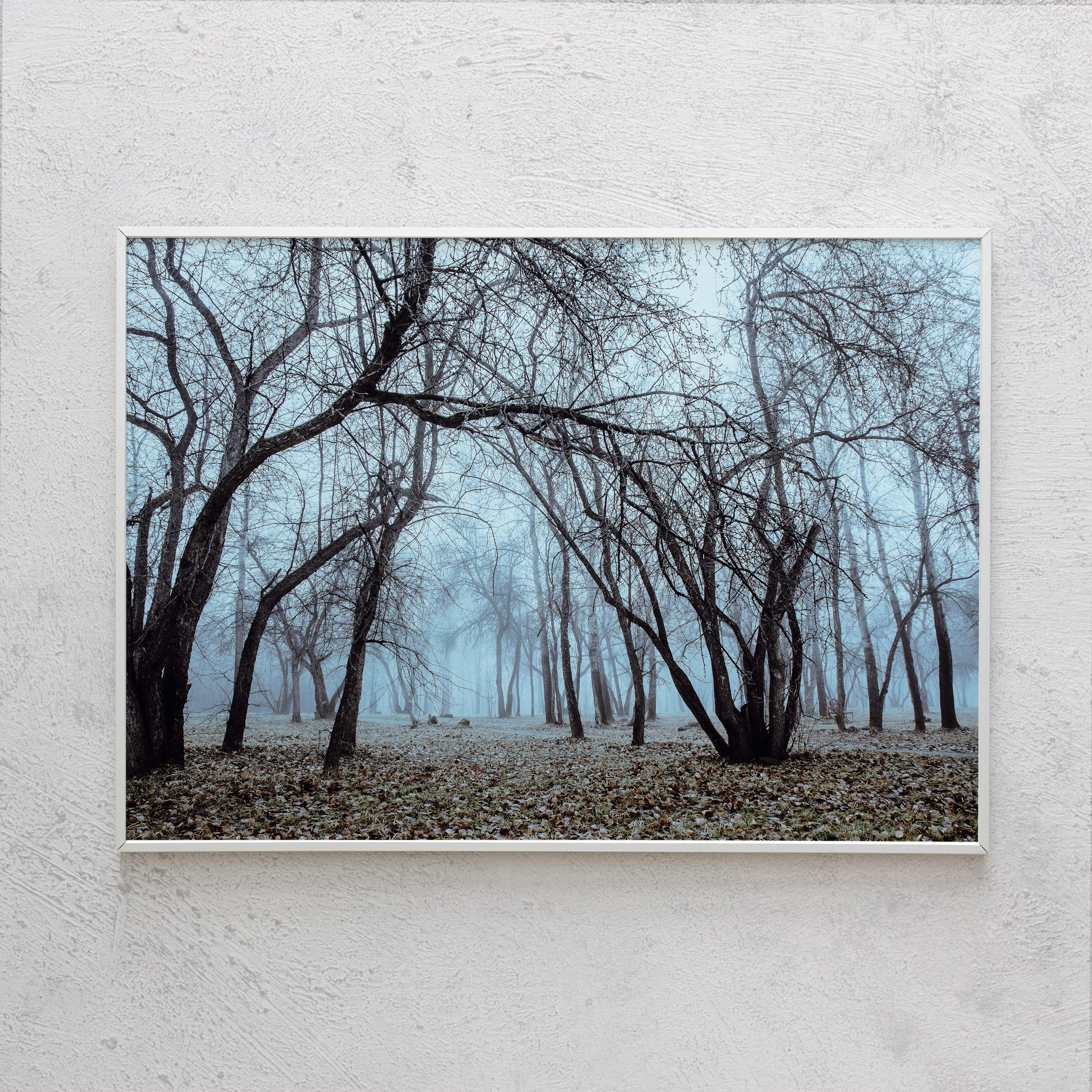 Печать интерьерных фотографий Кемерово