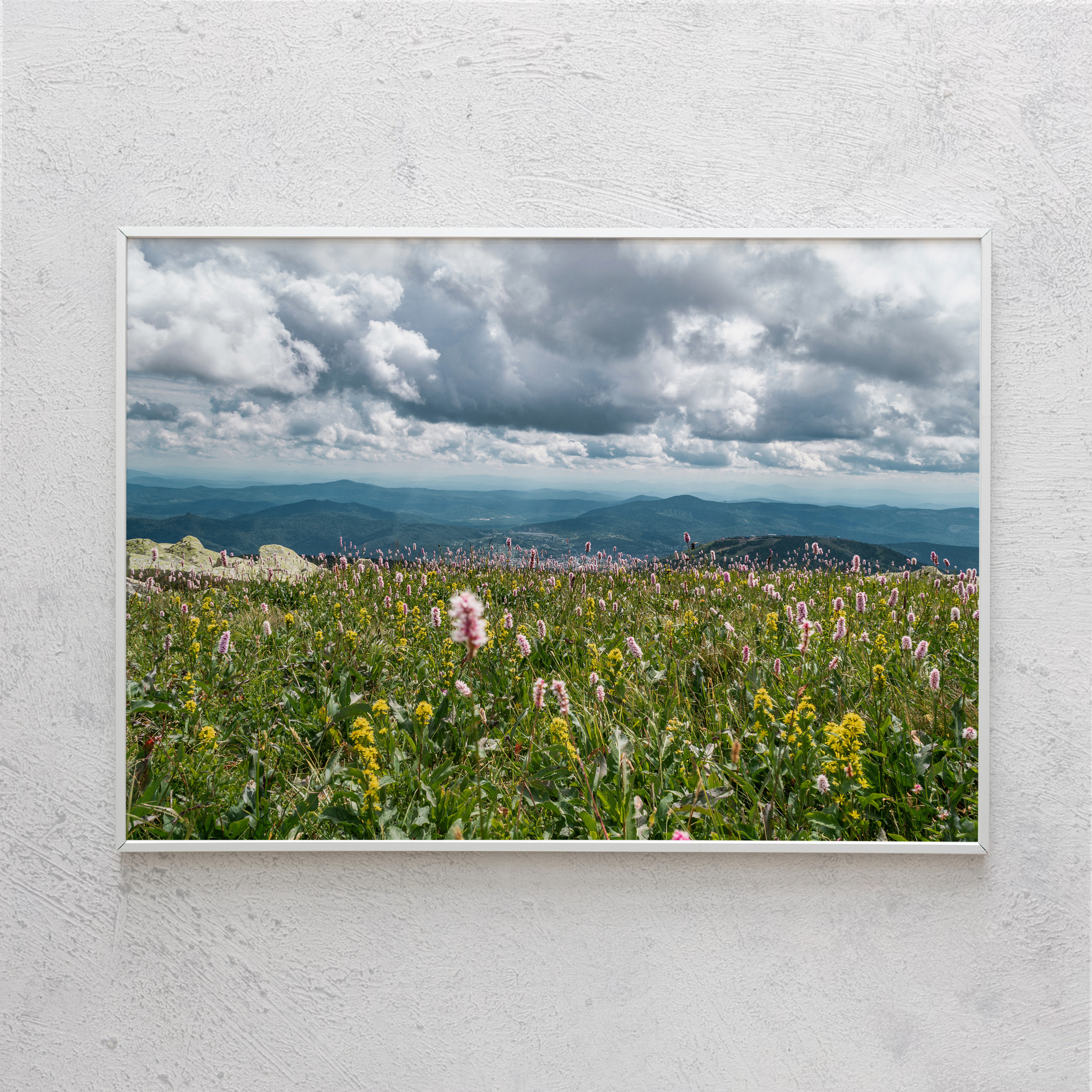 Печать интерьерных фотографий Кемерово