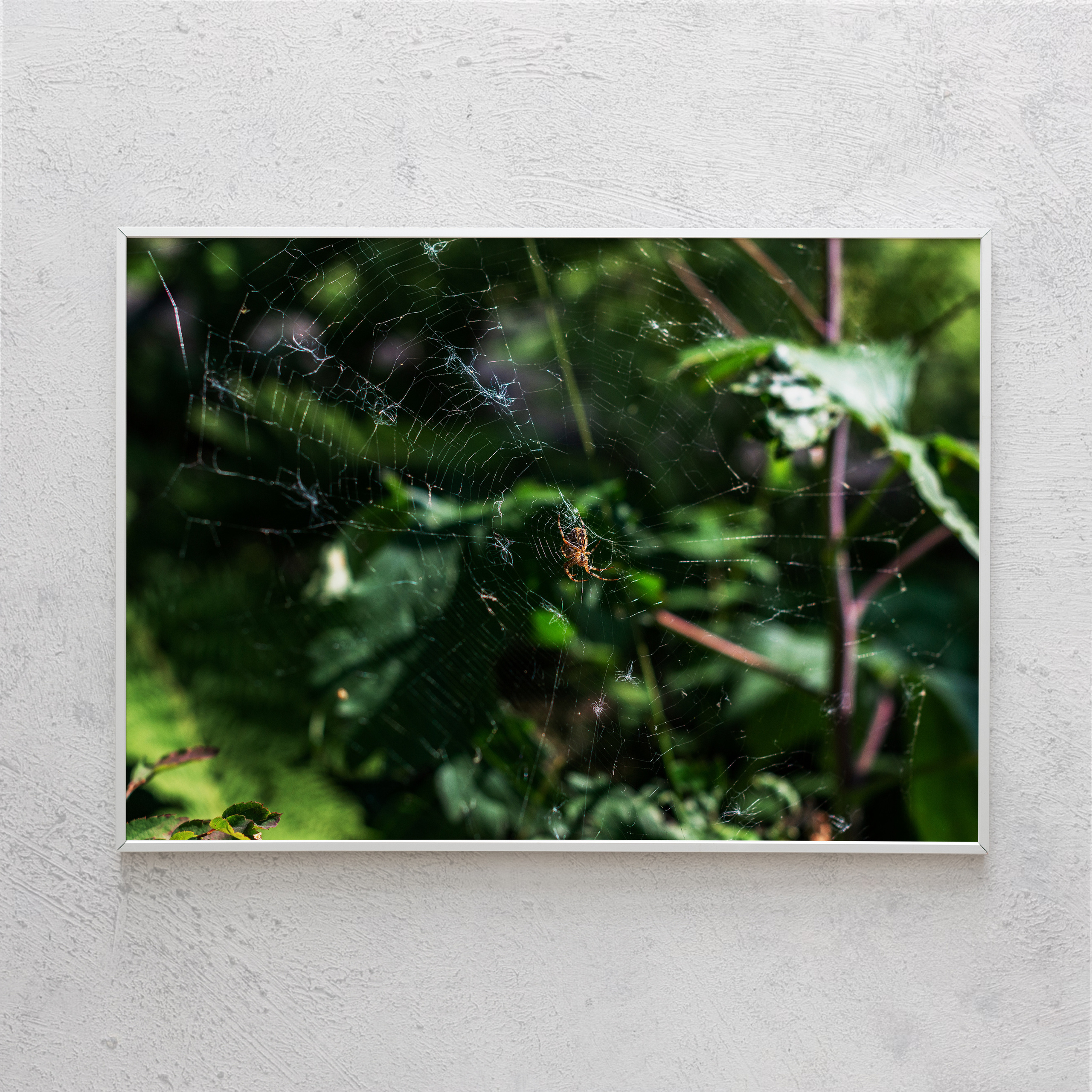 Печать интерьерных фотографий Кемерово