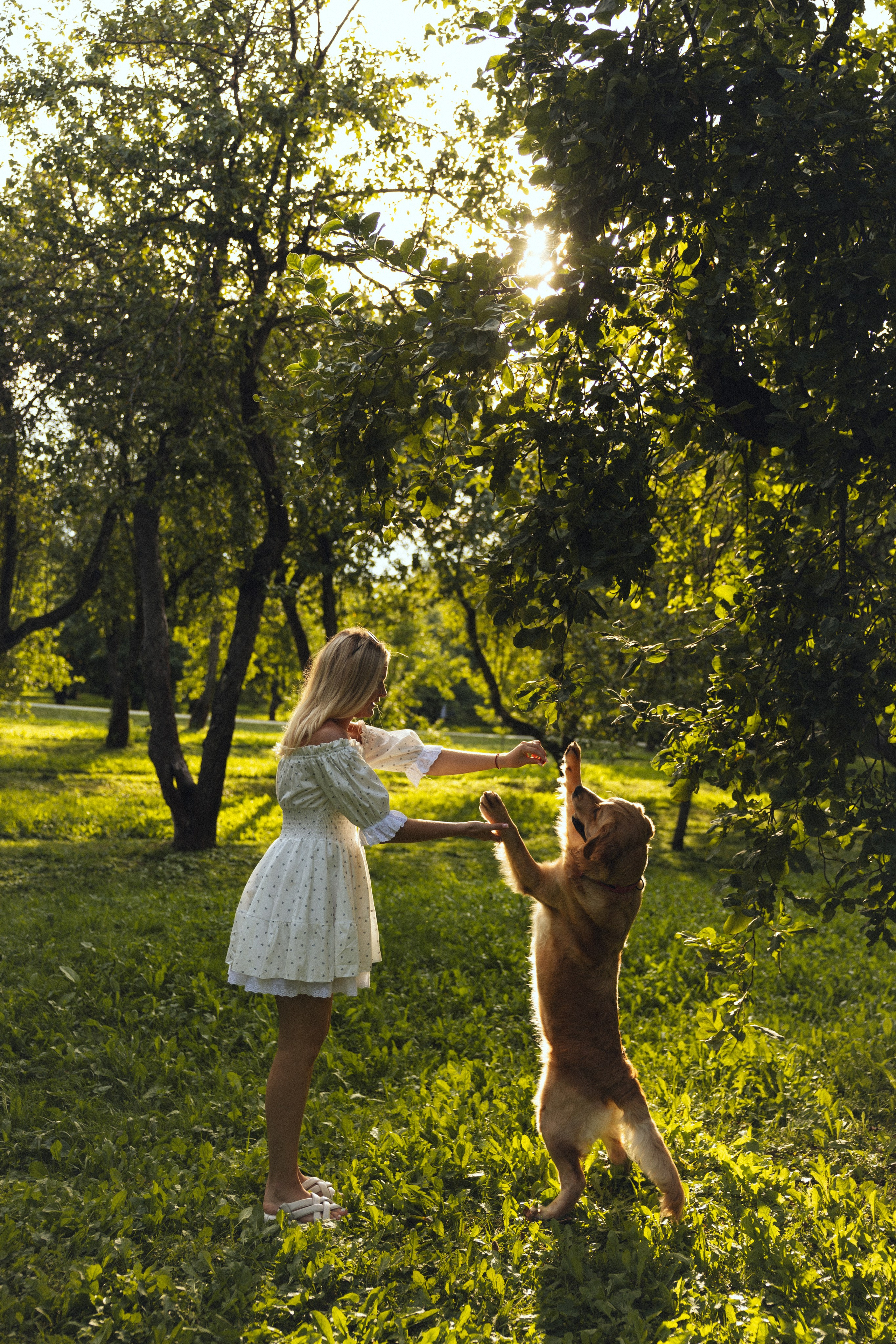 Елизавета и Даниил. Фотограф Дарья Смирнова