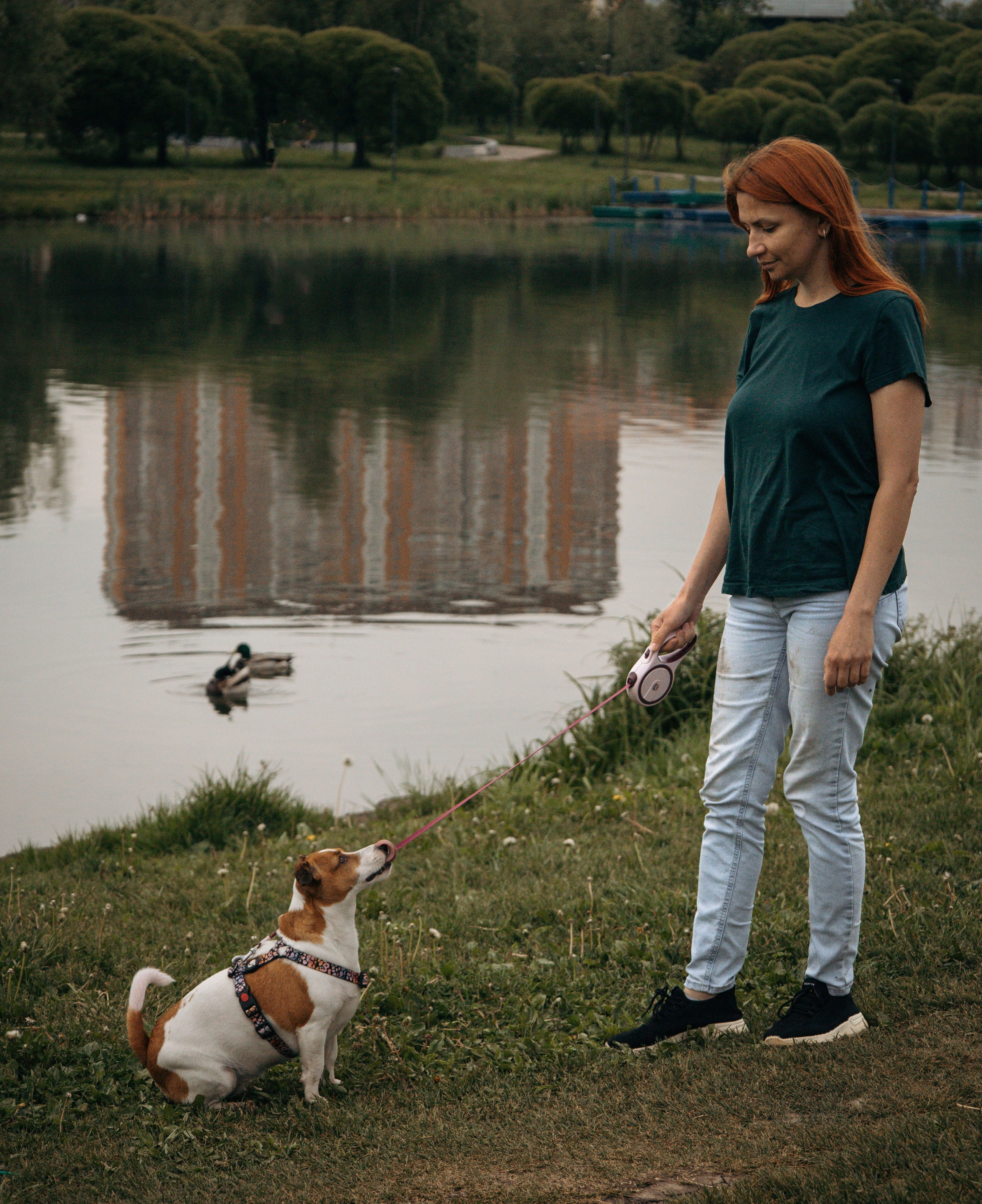 Моя маленькая спутница: Банни и Настя в Южнобутовском парке. Фотограф-анималист в Москве Екатерина Тихонова