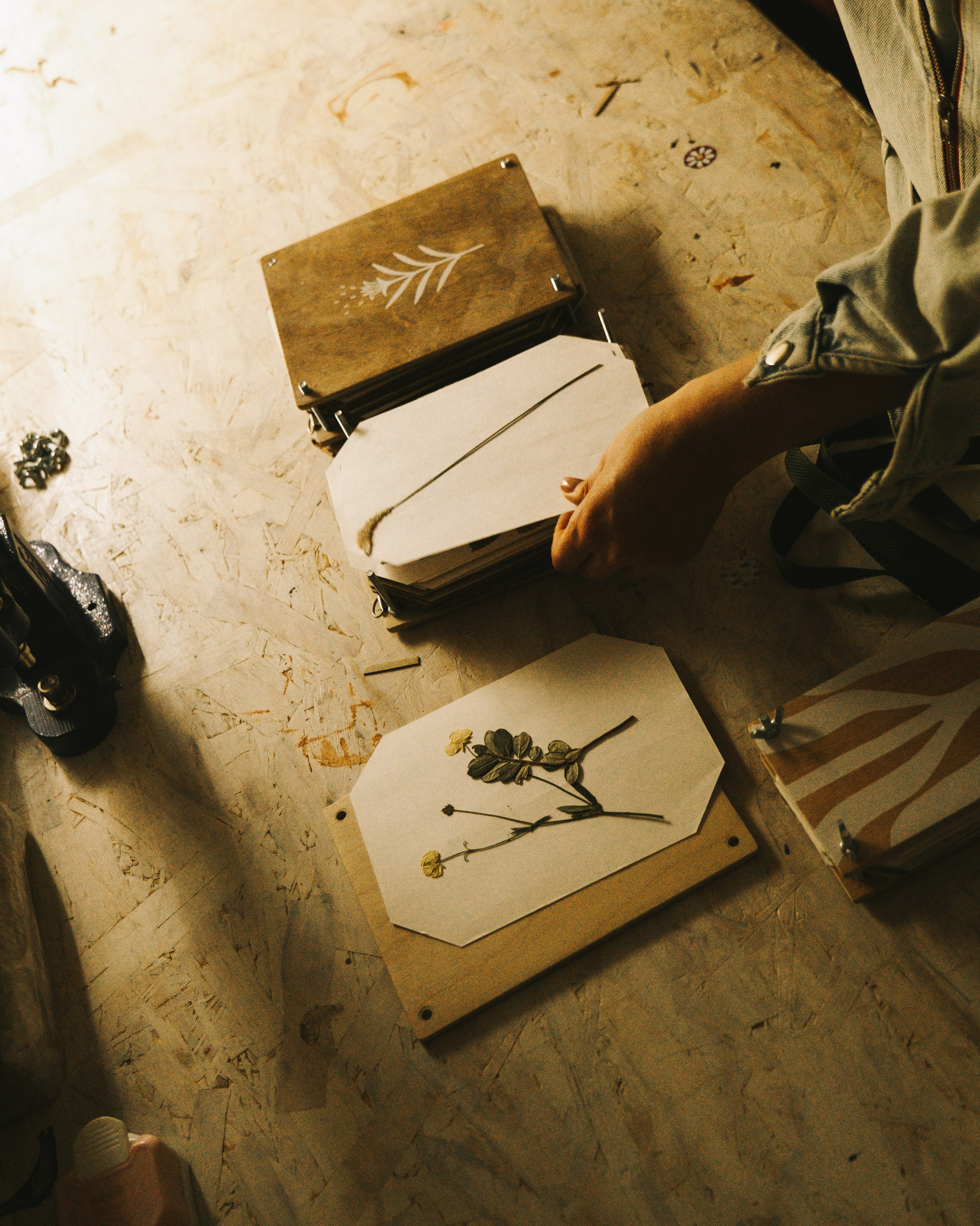 ВЫХОД В ГОРОД («РЕЛЬСЫ» Х «ДУРМАН ТРАВА»). Главная