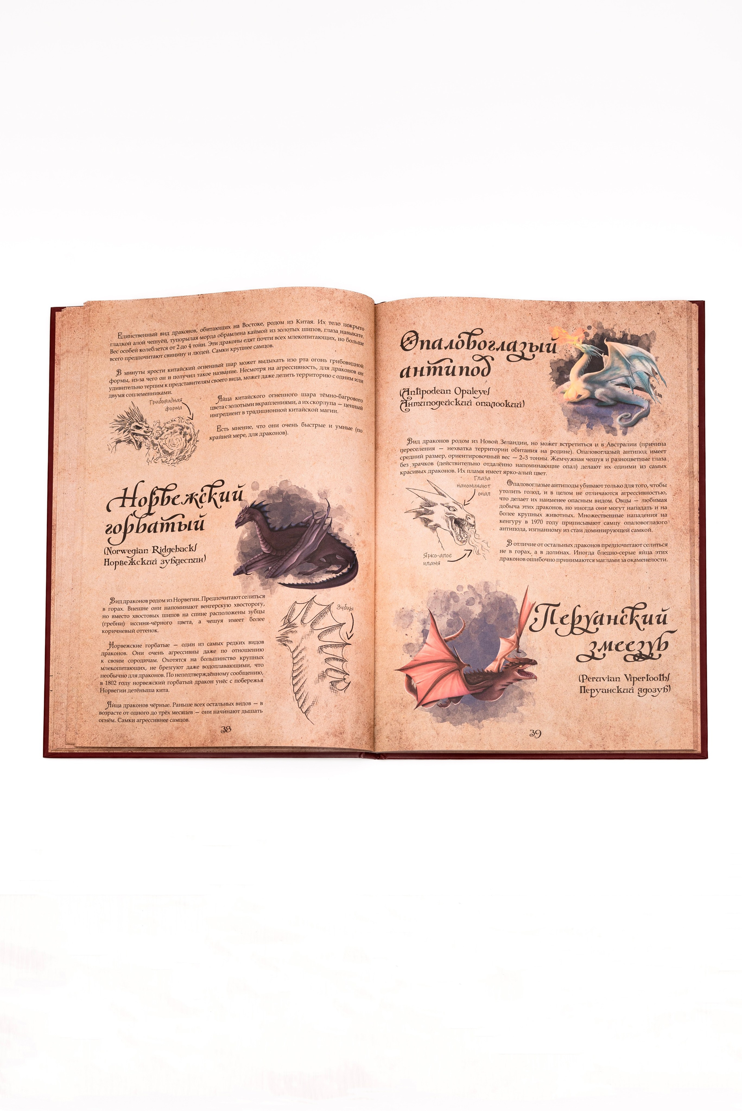 Книги по Гарри Поттеру. Предметный фотограф, фото для маркетплейсов Пятигорск, КМВ