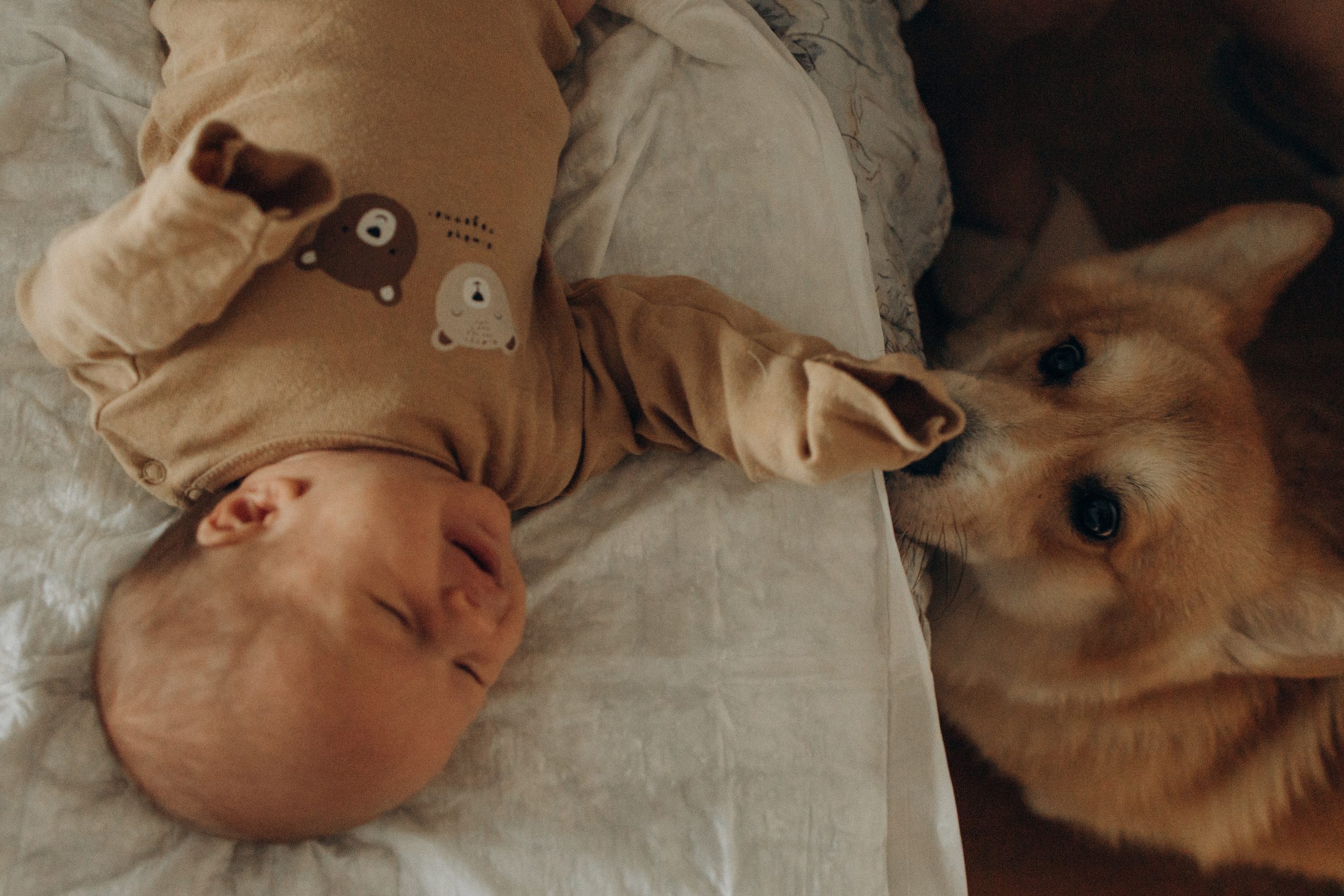 Катя и Тема. Семейный фотограф в Москве Валерия Карпова