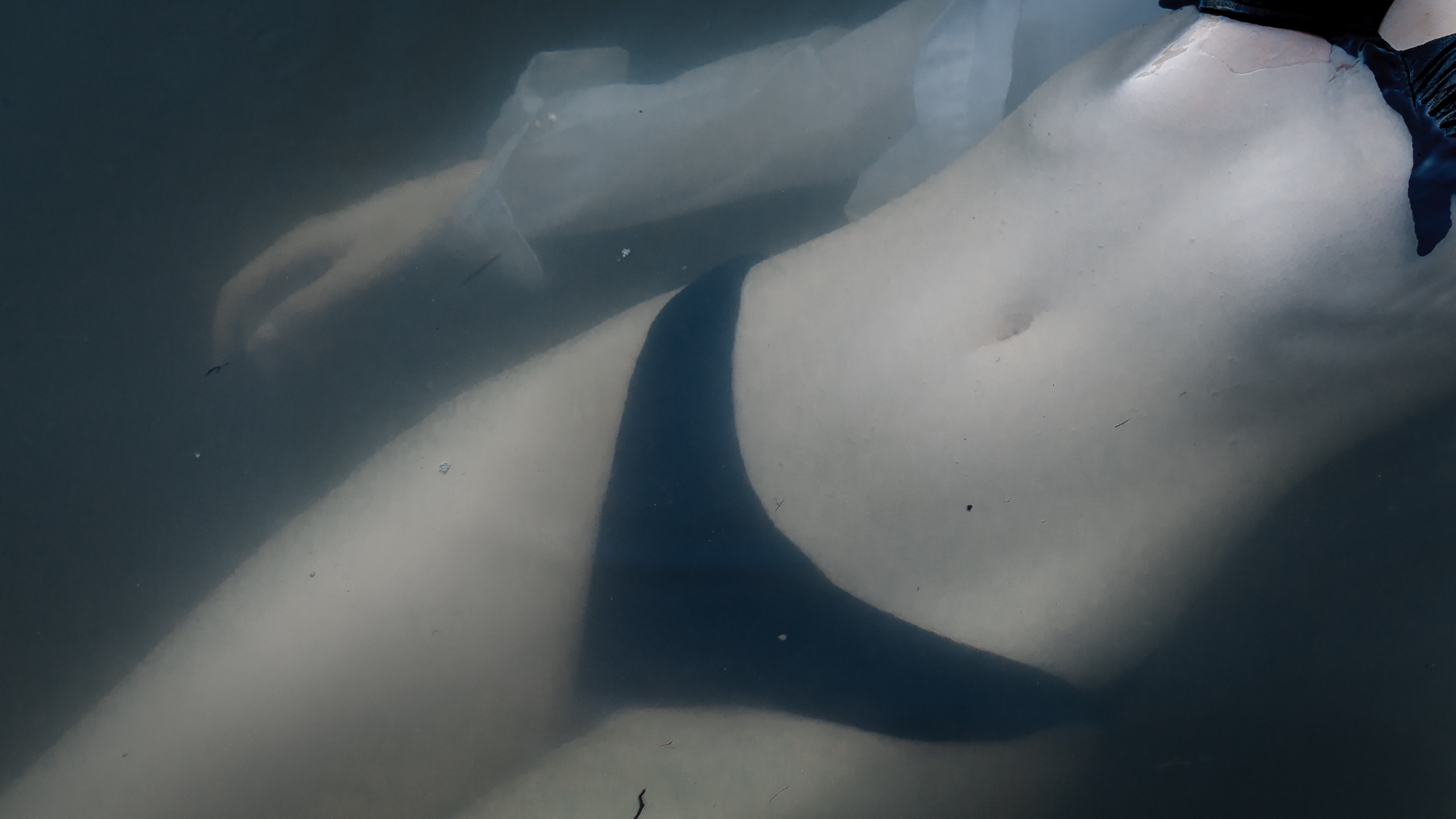 Anzhelika 🌊. Харчистов Андрей — фотограф