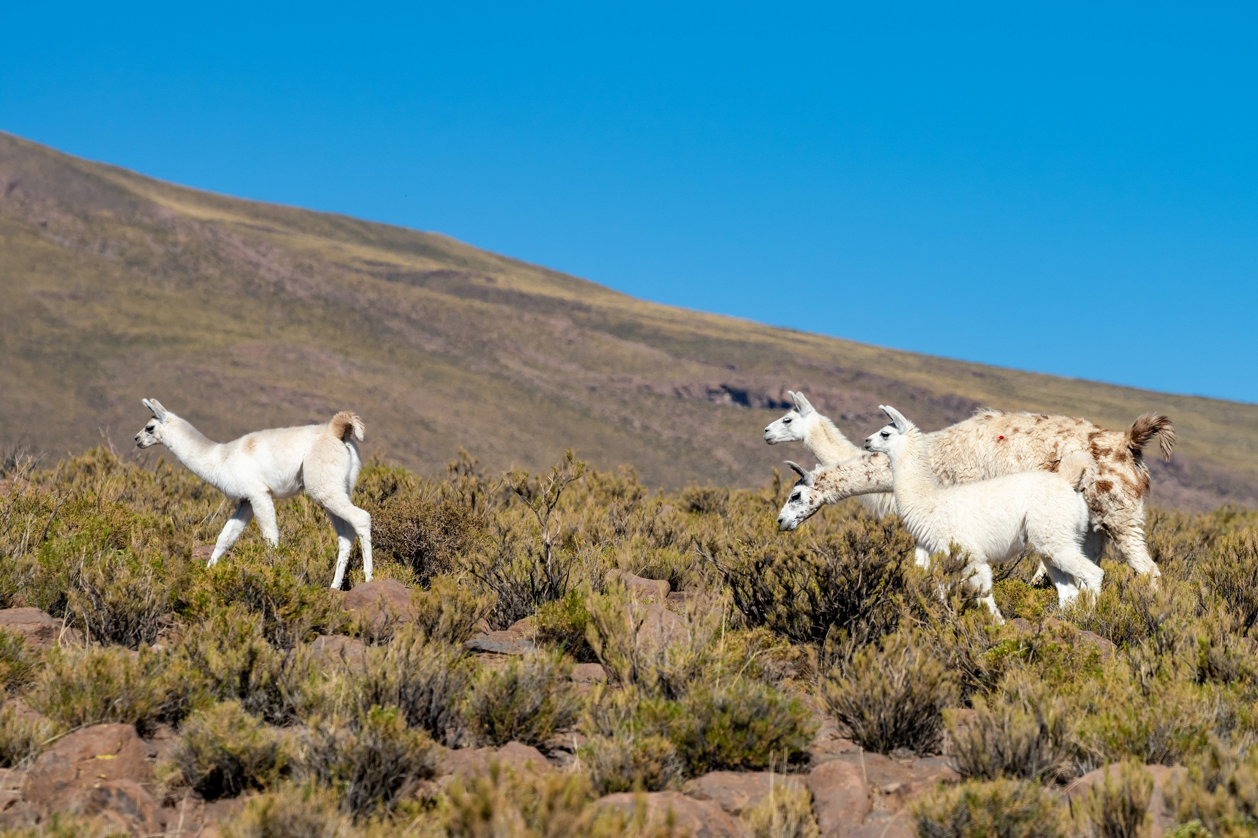 Фотографии из путешествий. Foto-Zuev фотография как искусство