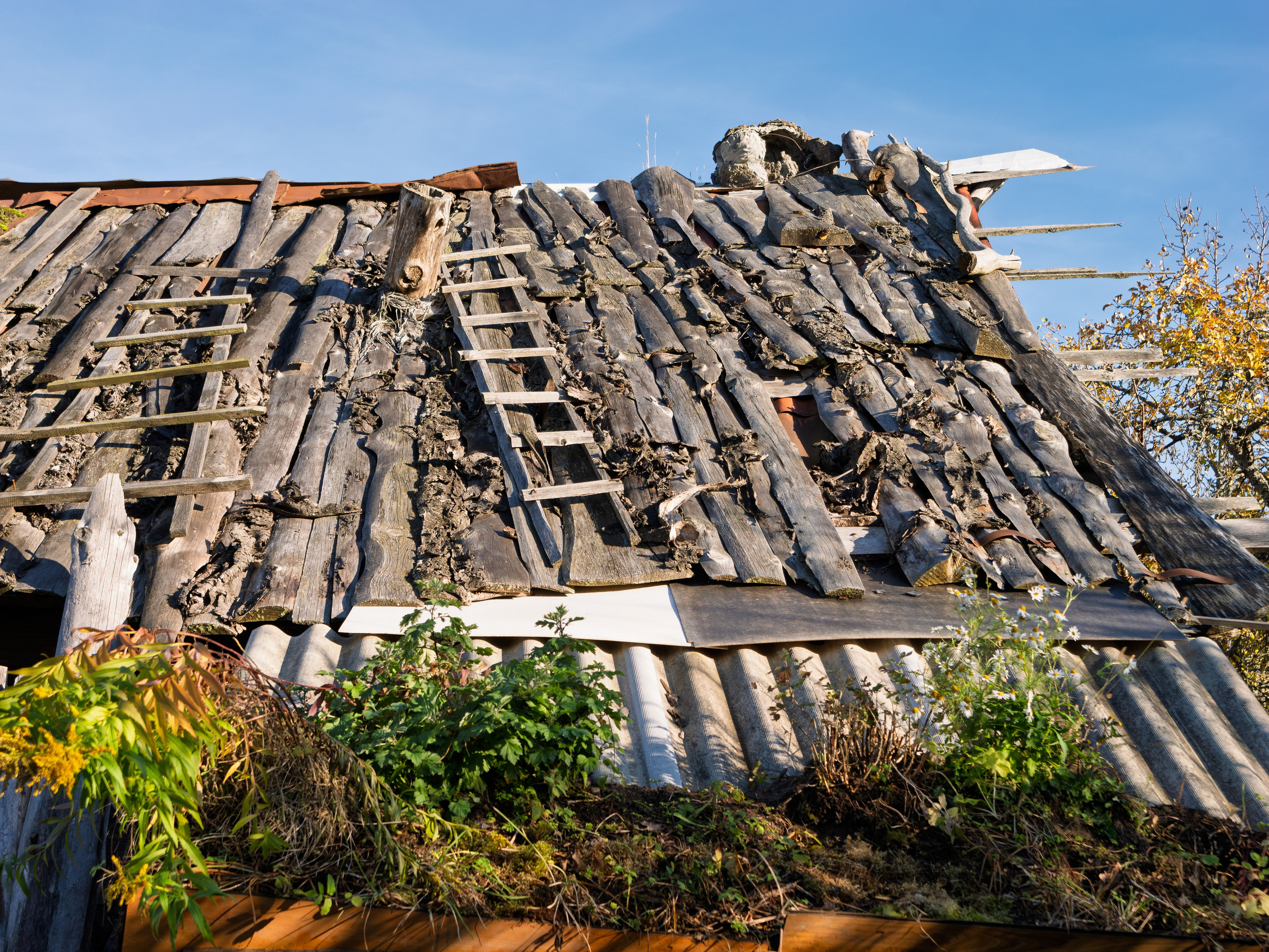 Голубые озера, Псковская область. Октябрь 2024. Фотограф Никифоров-Гордеев Сергей. Москва и МО