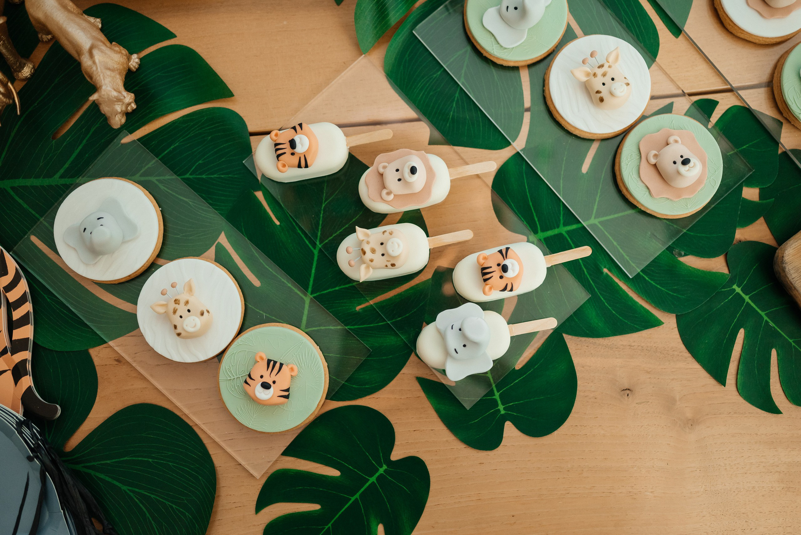 1st Birthday Party. Wedding and family photographer in Dubai Vasilii Albul