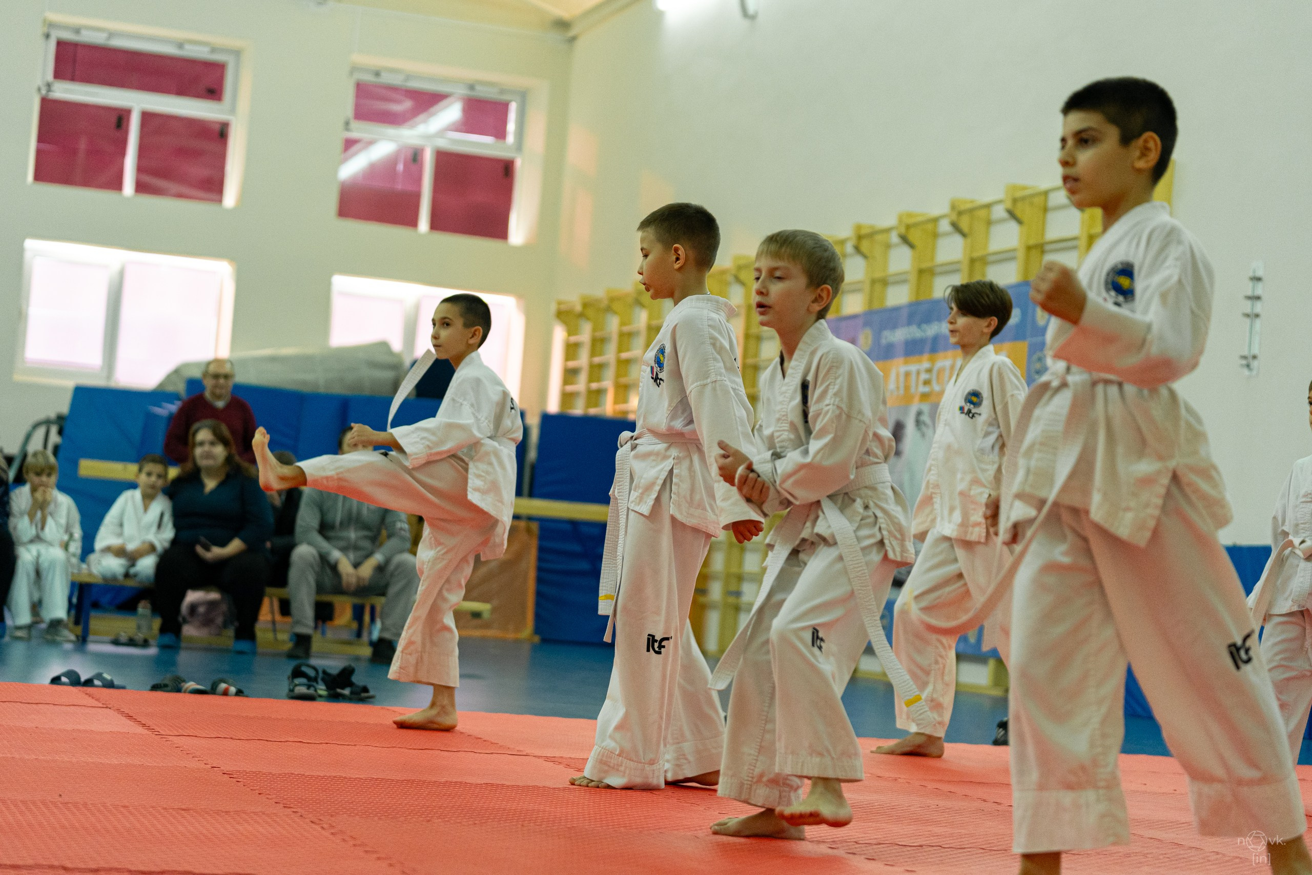 Аттестация Тхэкво. ФОТОГРАФ ИВАН НОВИКОВ | СТАВРОПОЛЬ