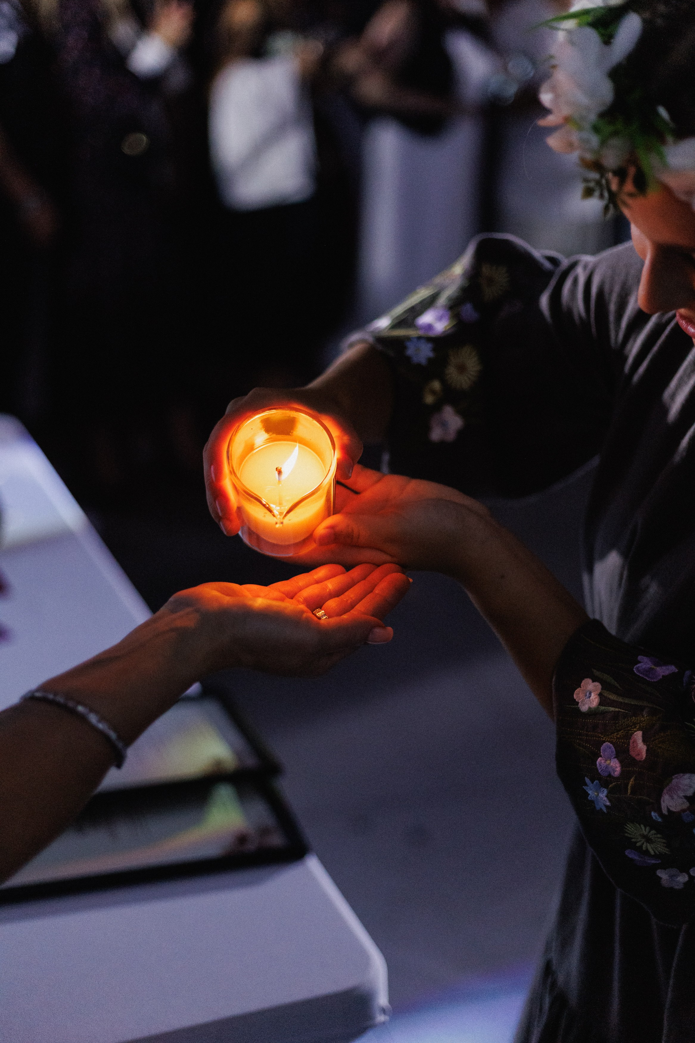 DGD WILD PINK. СВОИ. ФОТООТЧЕТЫ-СОБЫТИЯ-МЕСТА