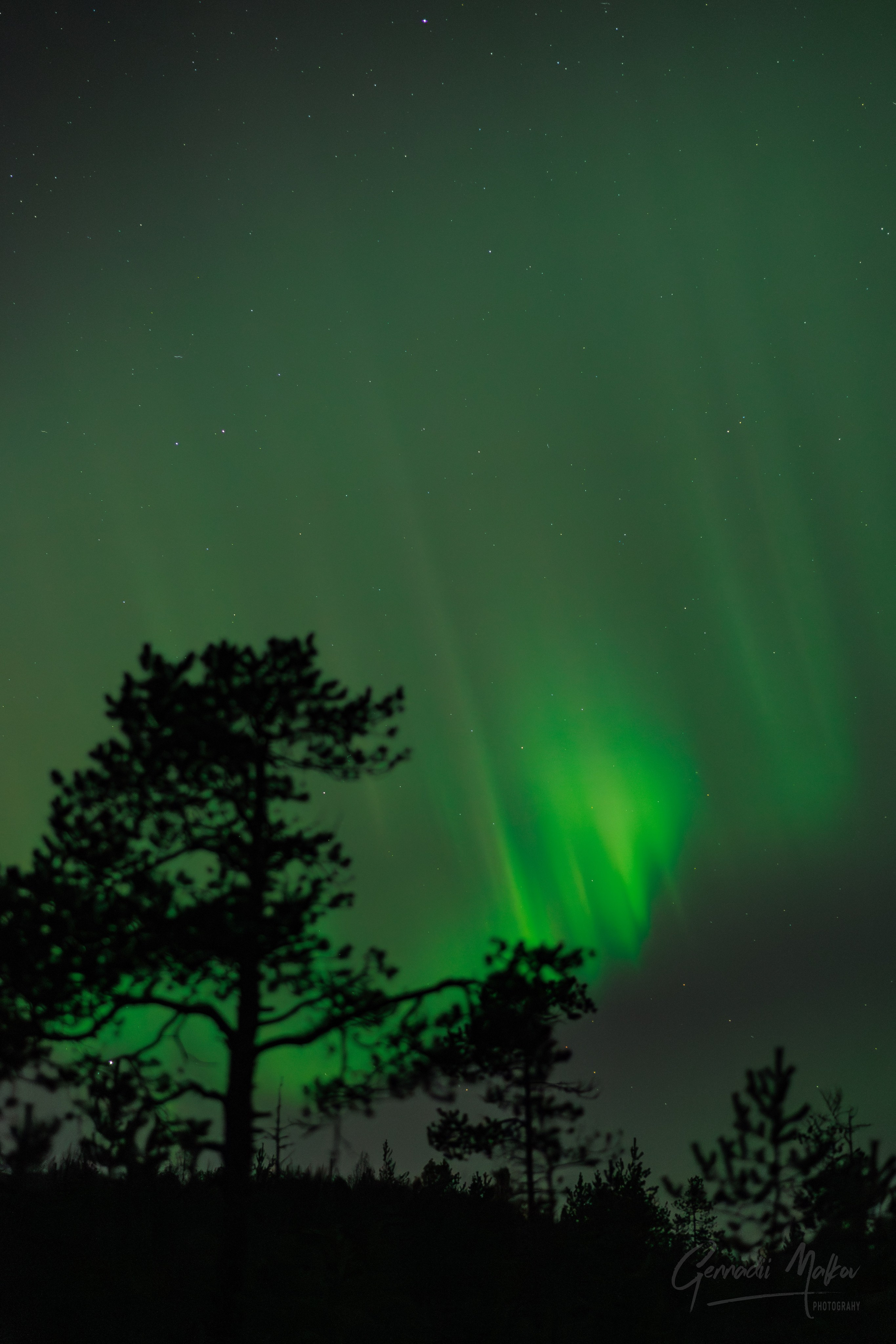 Северное сияние Aurora