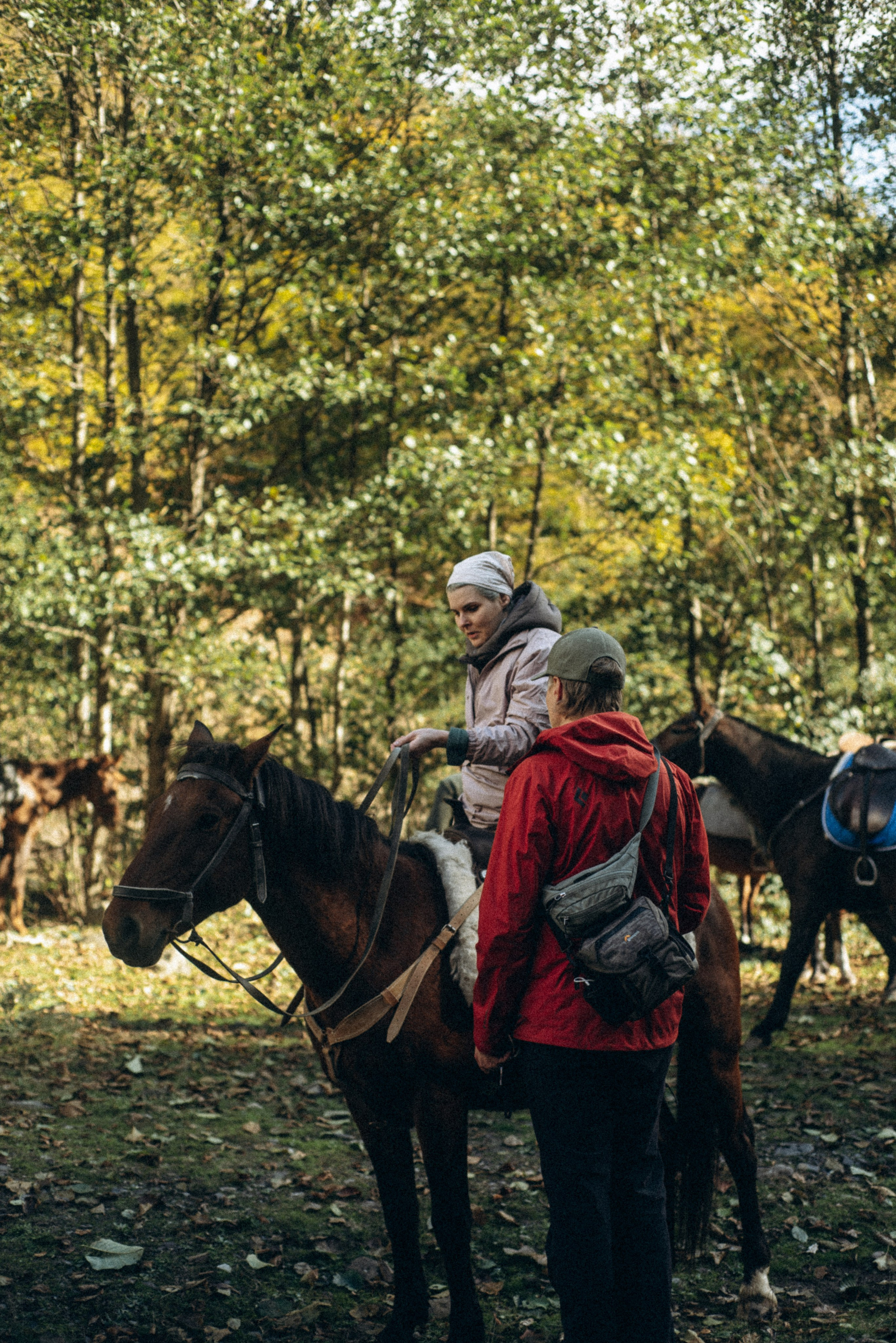 Конный поход 🇬🇪 «PVD Club». Anita_photo