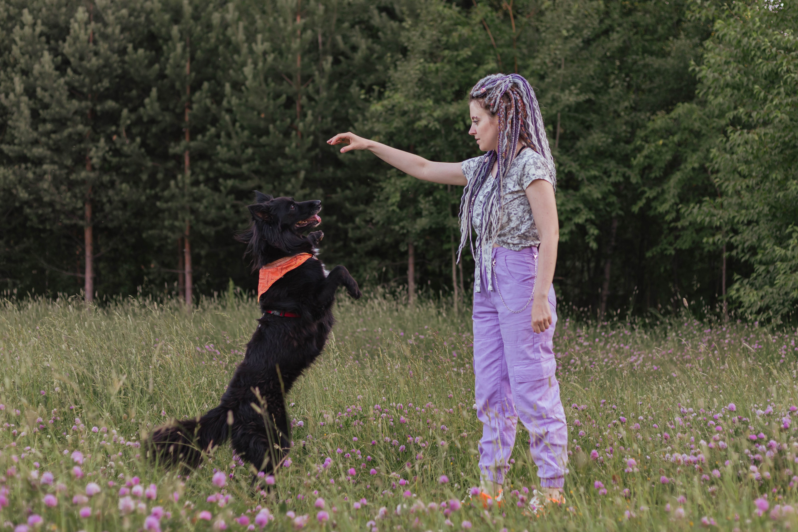 Александра и Грэмпи. Свадебный и семейный фотограф в Сургуте и ХМАО Черепанова Наталья