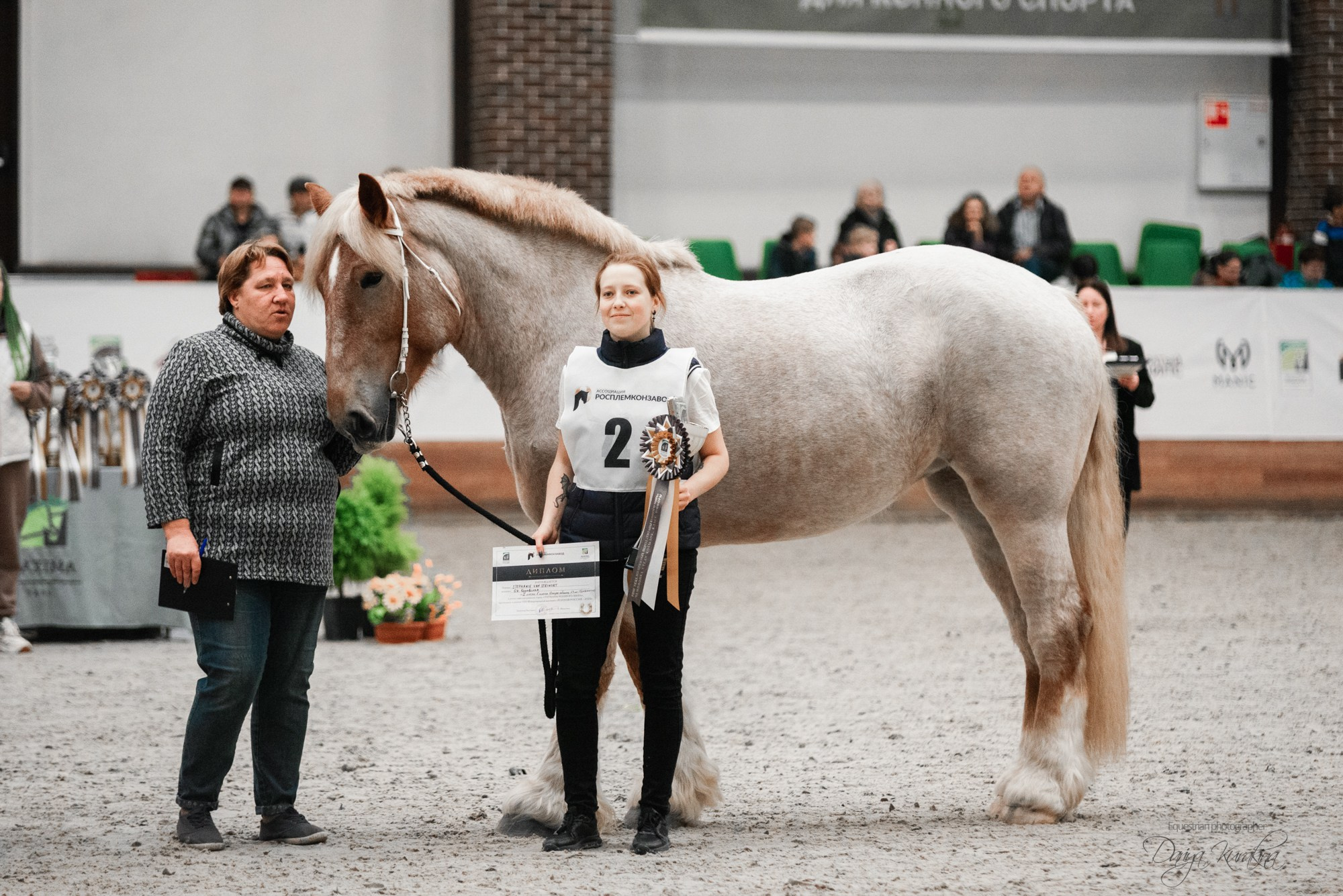 8-я международная выставка Конная Россия. Конный фотограф Куракина Дарья • Фотосессии с лошадьми