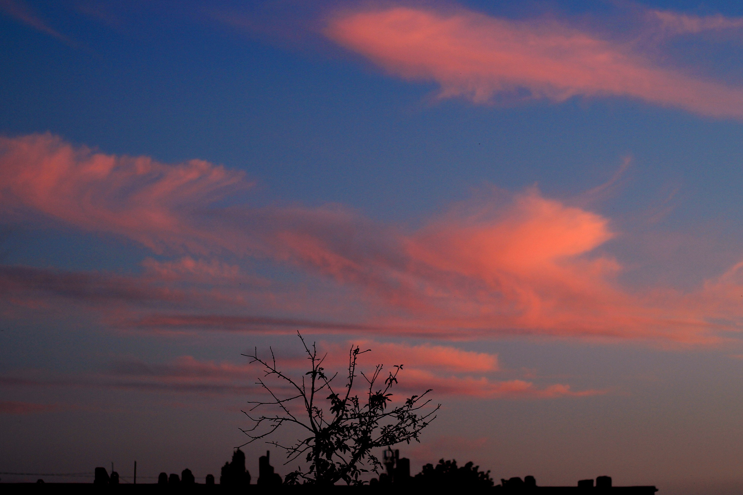 Природа. Команда фотографов Кристины Ивановой