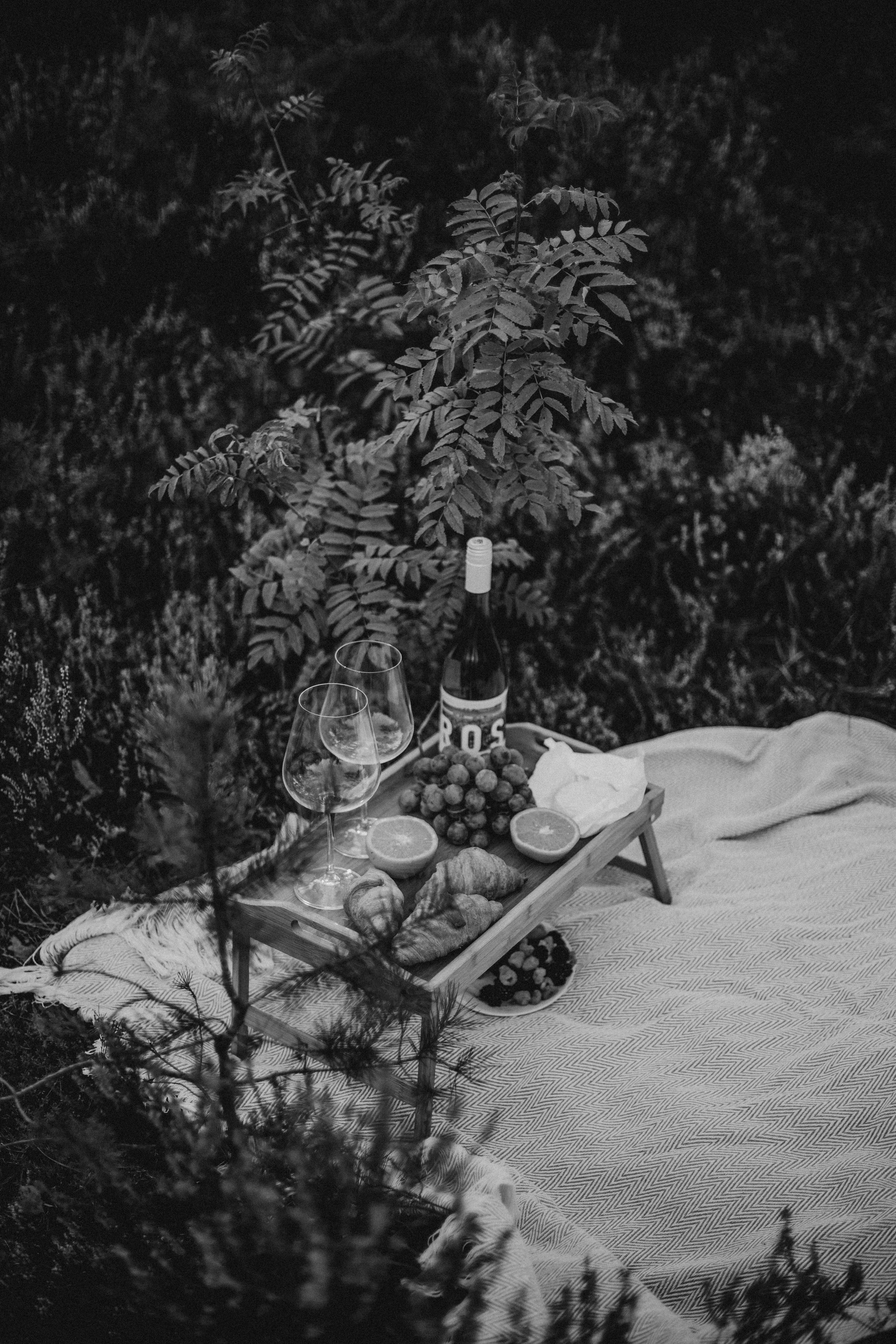 Павел и Анастасия. Семейный фотограф в Брянске Зурилина Екатерина