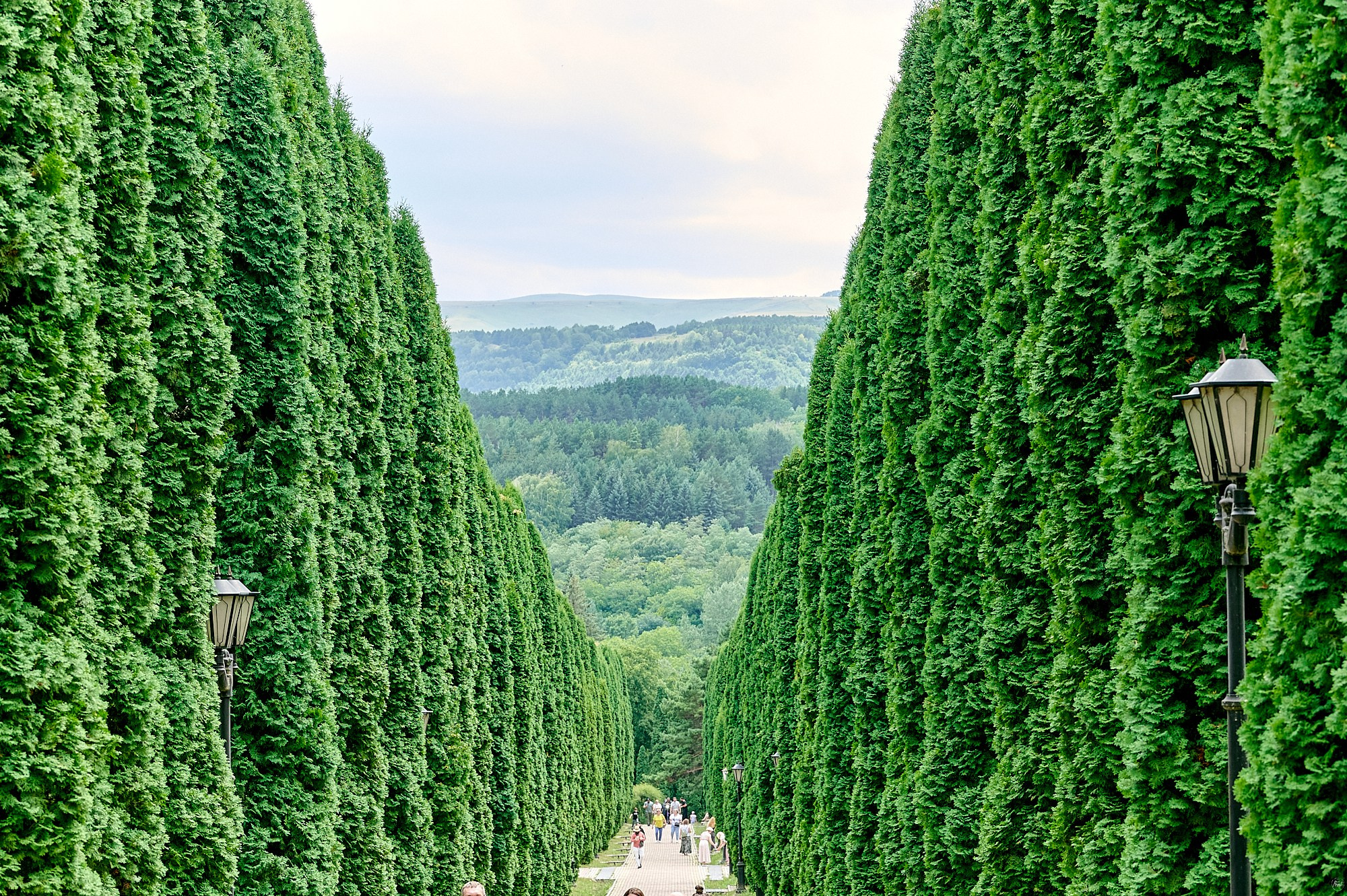 Кисловодск, Россия. Август 2024. Фотографии отовсюду и обо всем