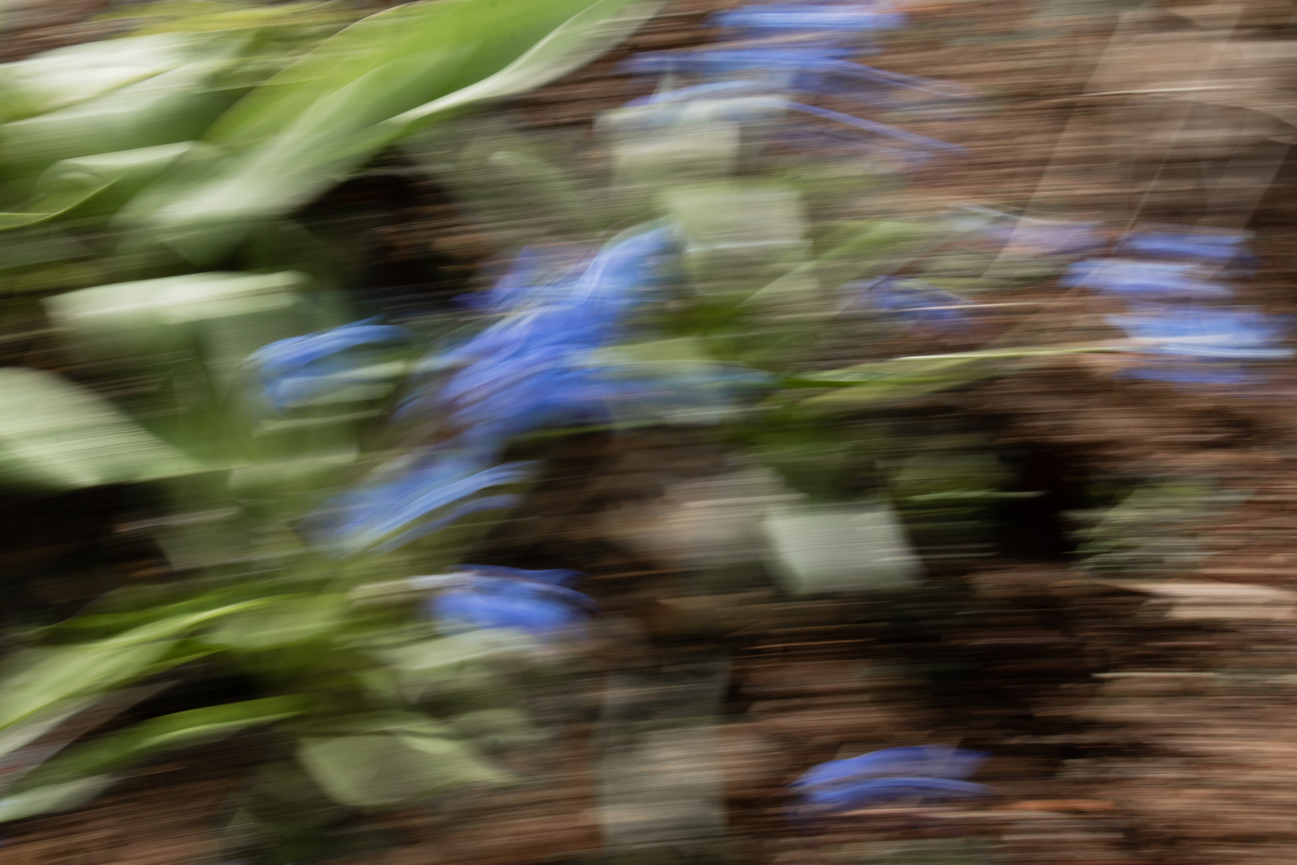 Моменты. Главная