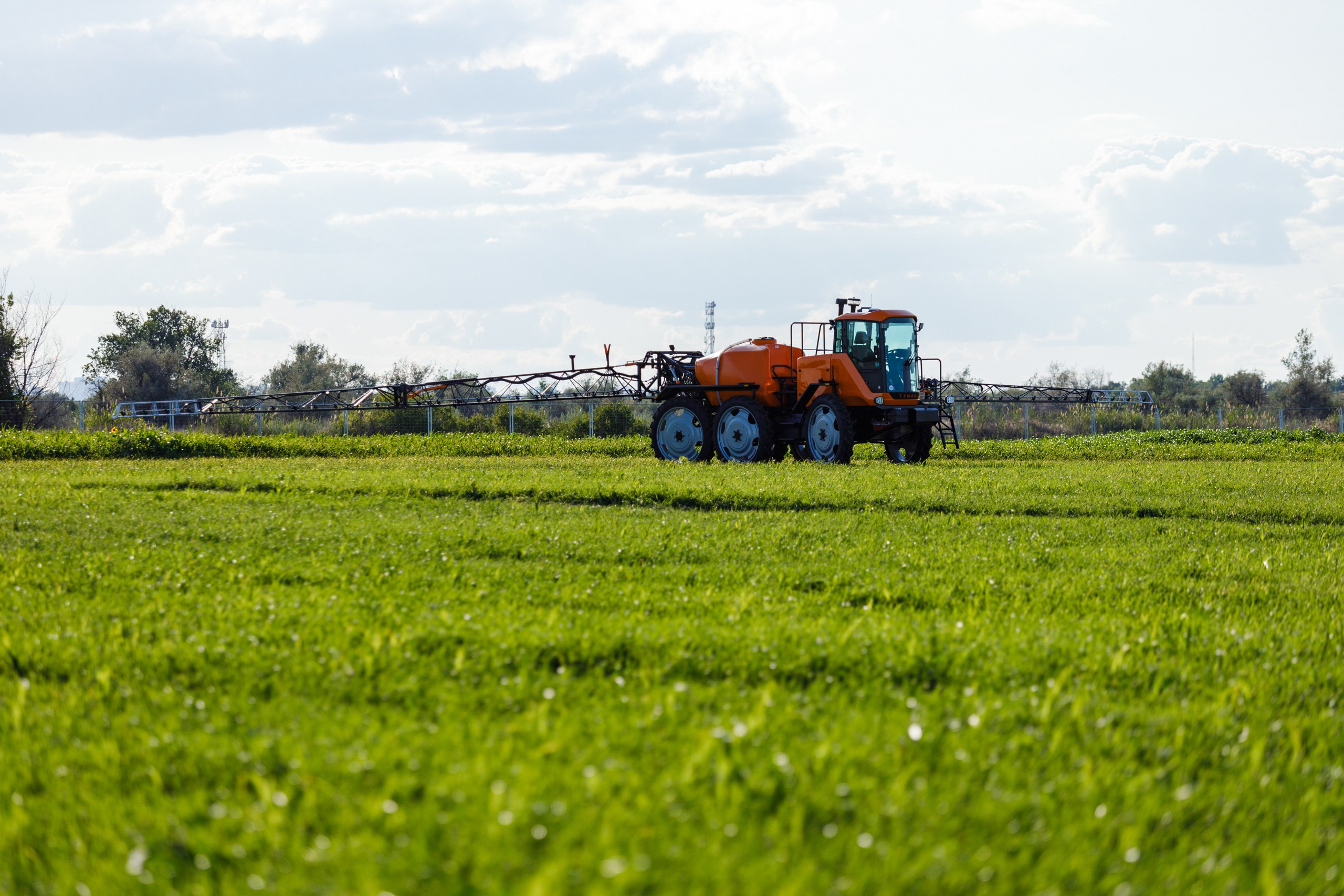 День Поля 2025 Волгоград. Фотограф Ставрополь Петр Голубенко