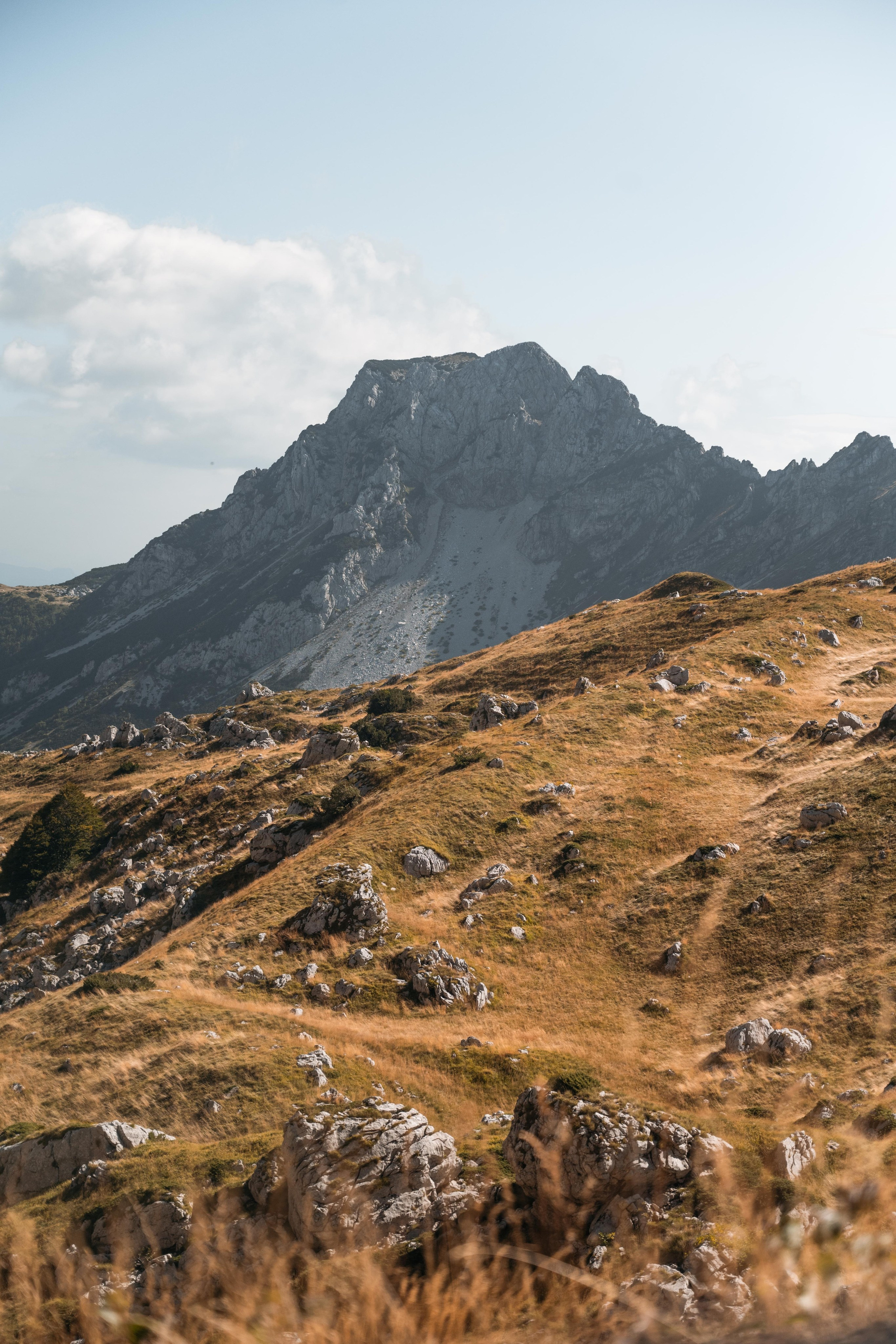 ПРУТАЖ. ЧЕРНОГОРИЯ. Фотограф в Белграде Чугреева Елена
