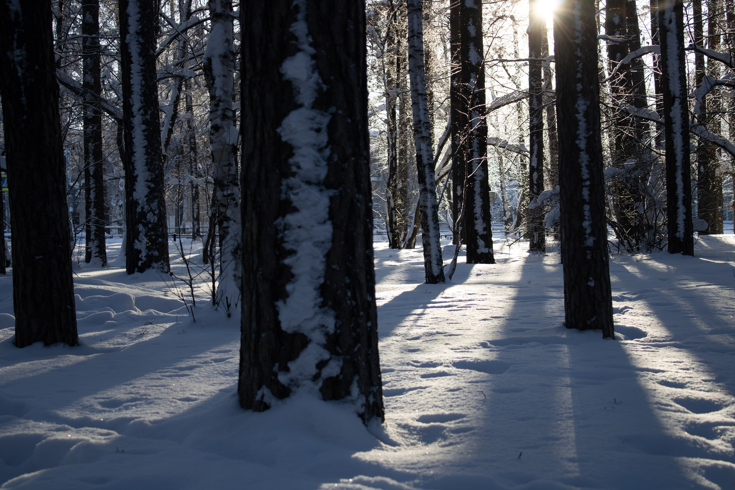 Вдохновение. Бутакова Елена фотограф в Екатеринбурге