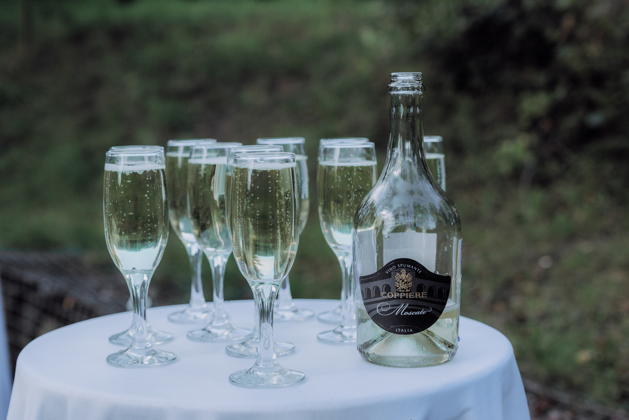 NIKITA_ANASTASIA (ROSENDORF). Фотограф Андрей Ширкалин Москва Московская обл, Коломна, Рязань