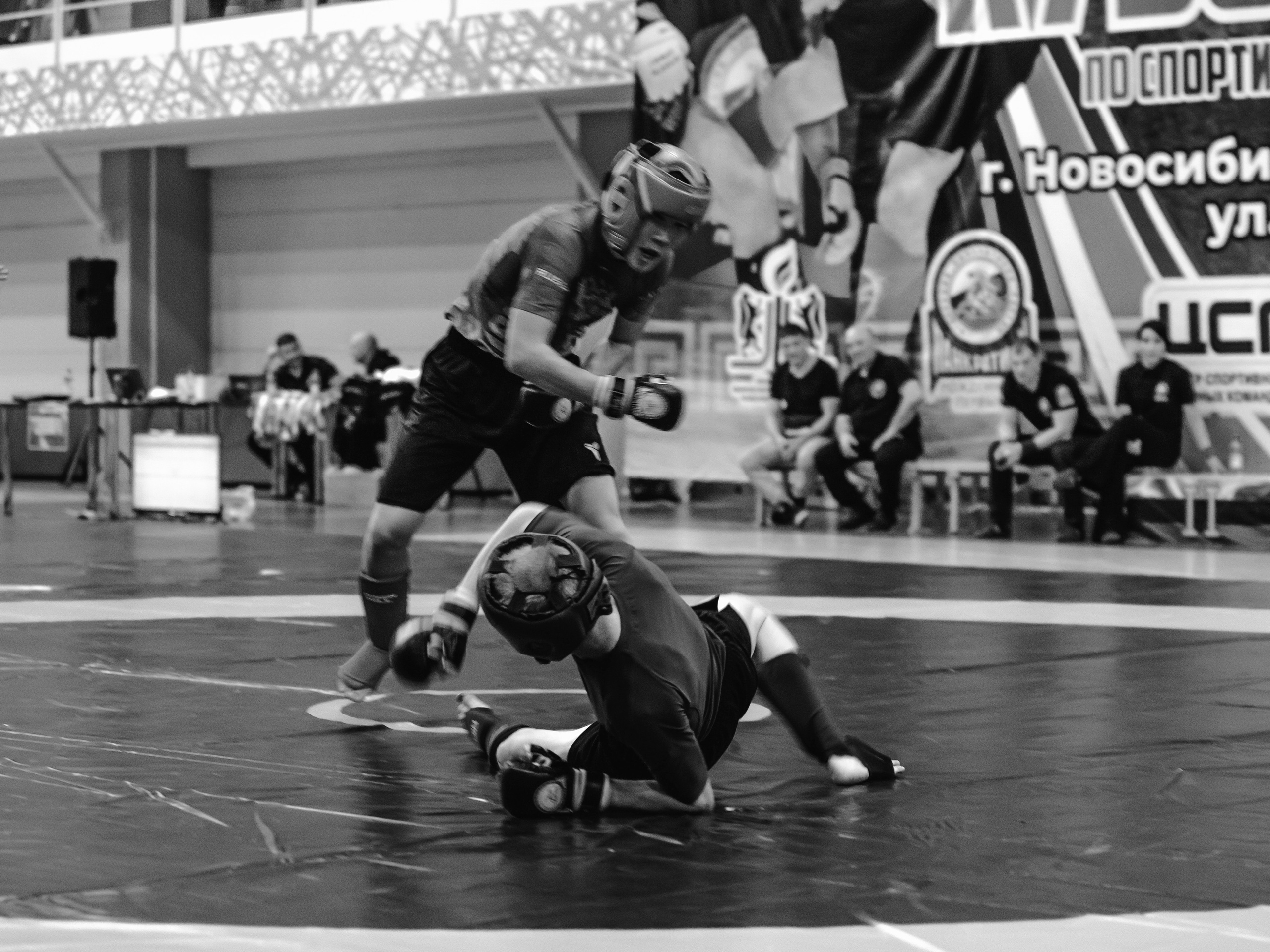 Кубок России по спортивной борьбе панкратион `23. Портретный фотограф в Москве Дарья Цезария