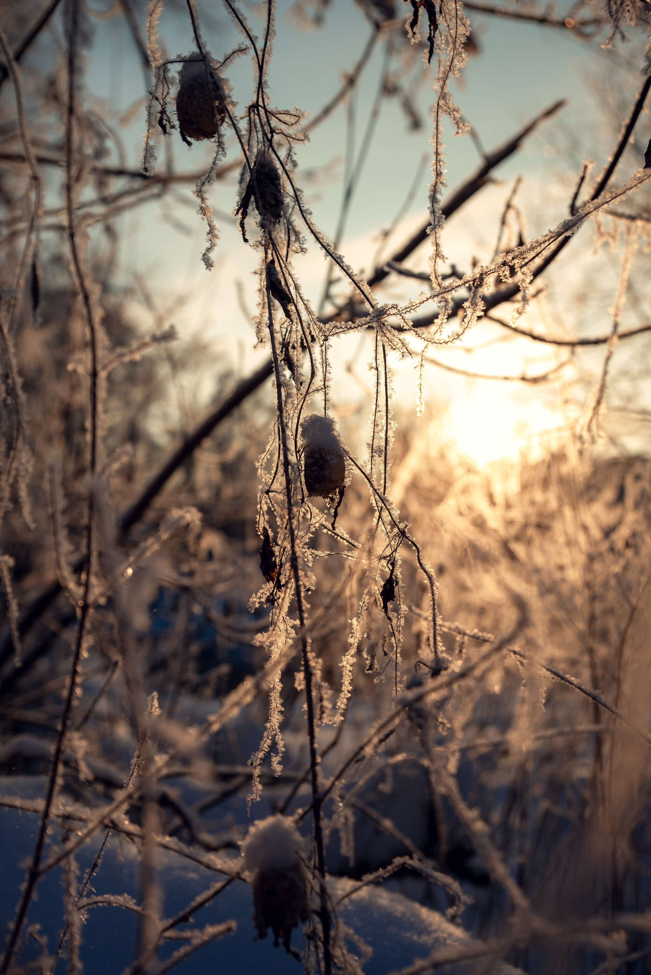 Зимушка зима. Фотограф Крещение Венчание Москва
