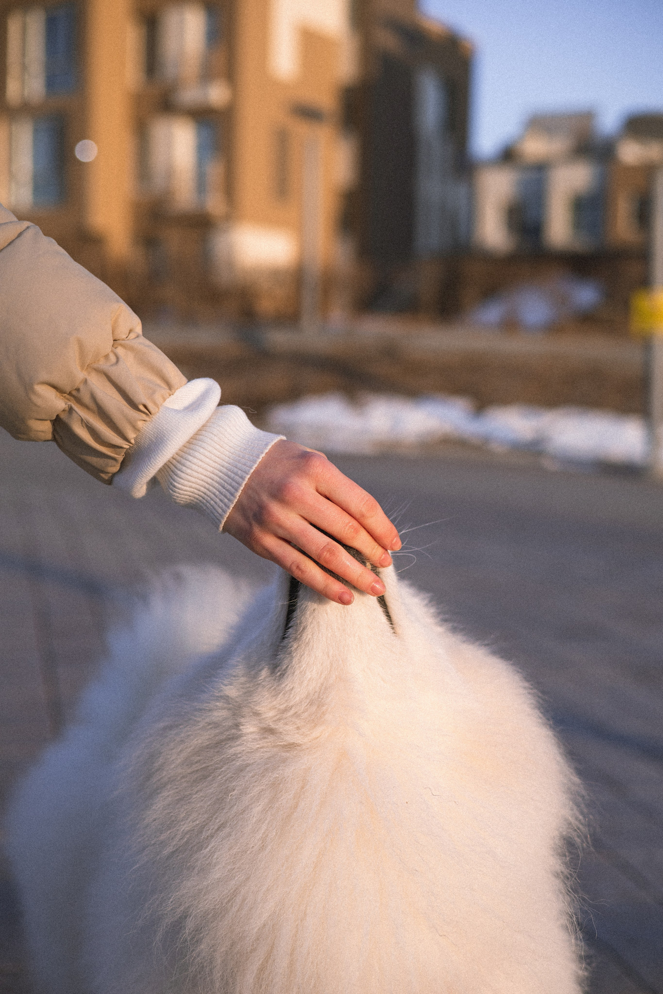 Полина и Вирчик. Фотограф — анималист Владивосток, Алина