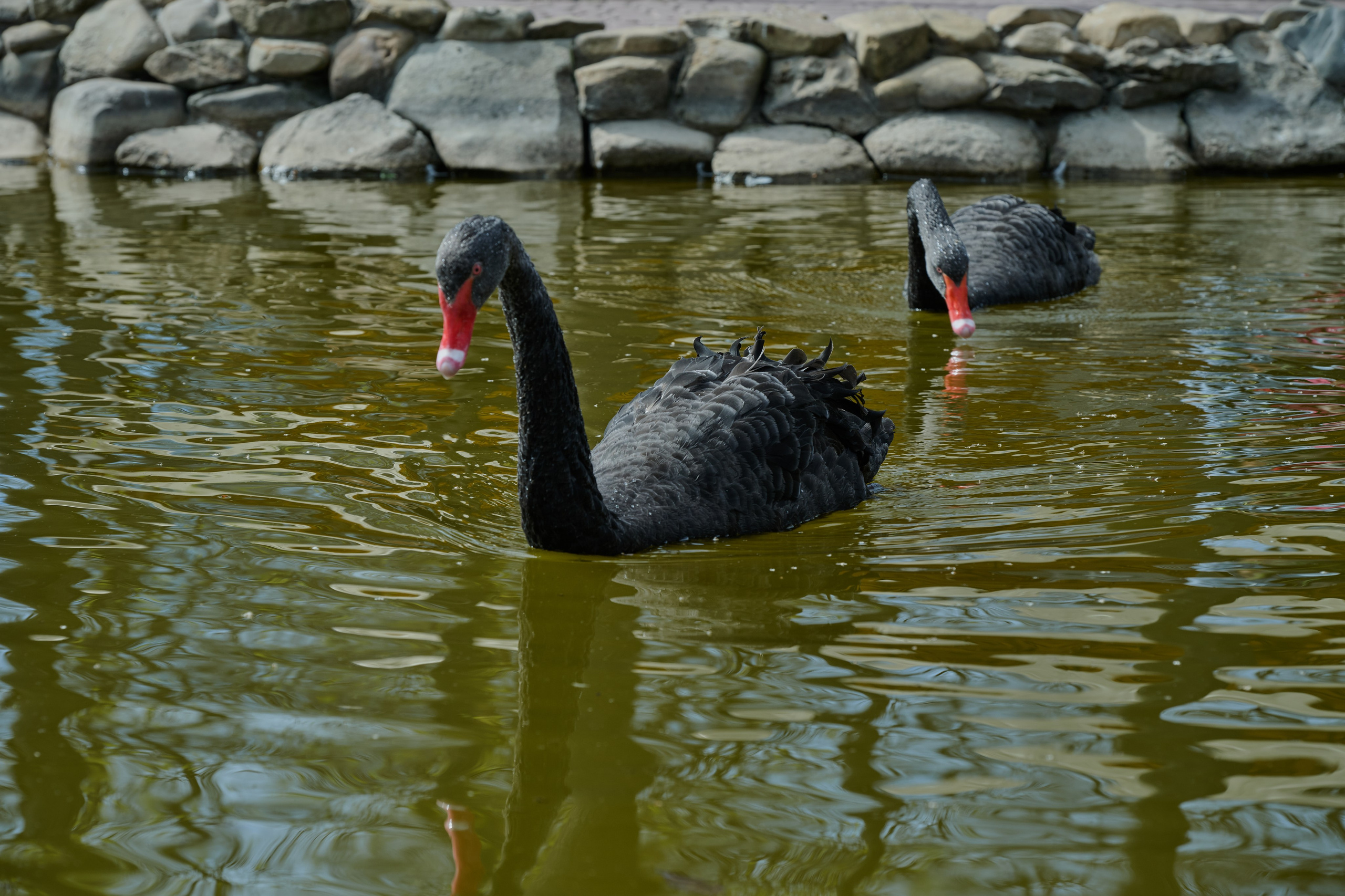 Мелитополь. Фотопроект «Территории»