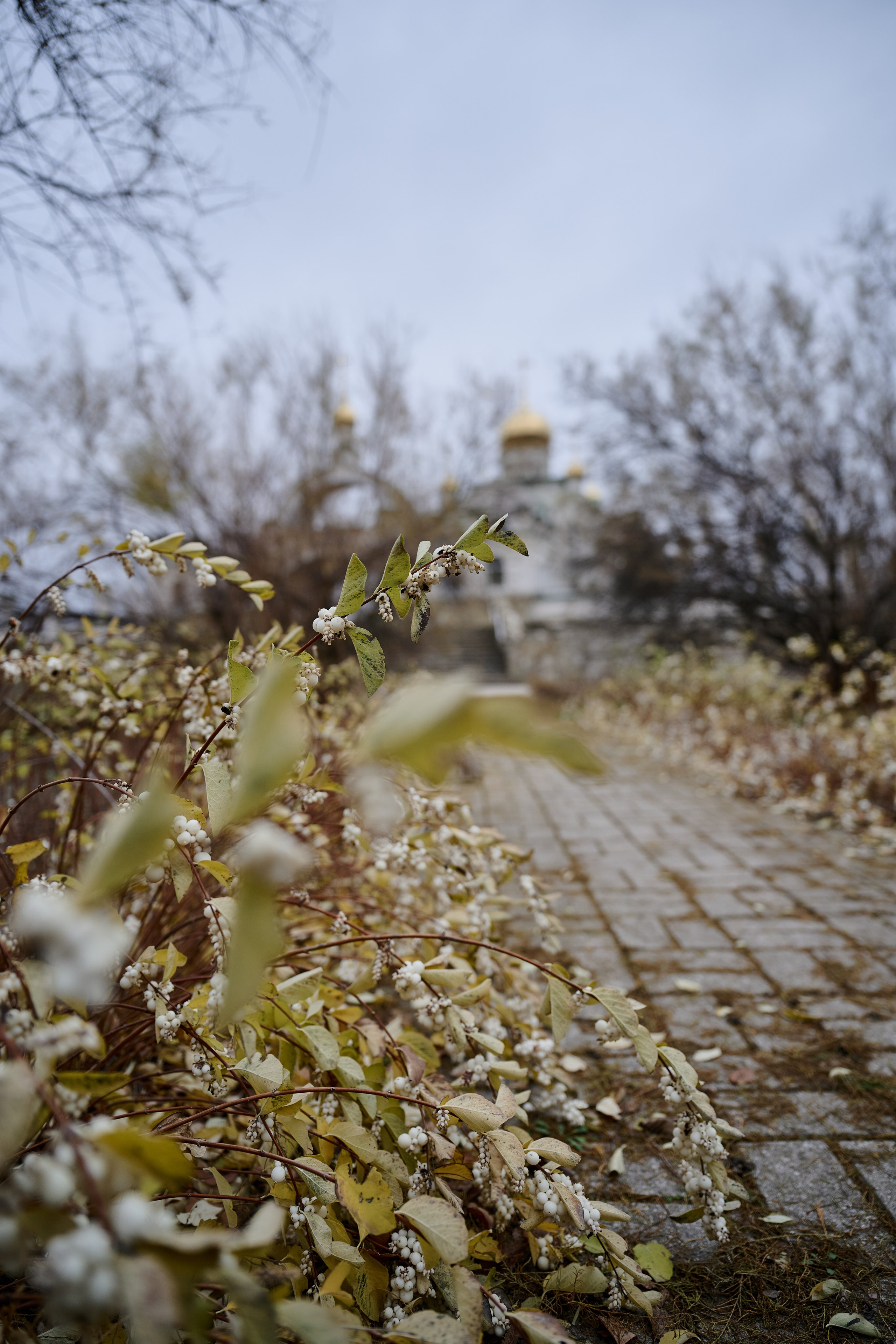 Рубежное. Луганская область. Фотопроект «Территории»