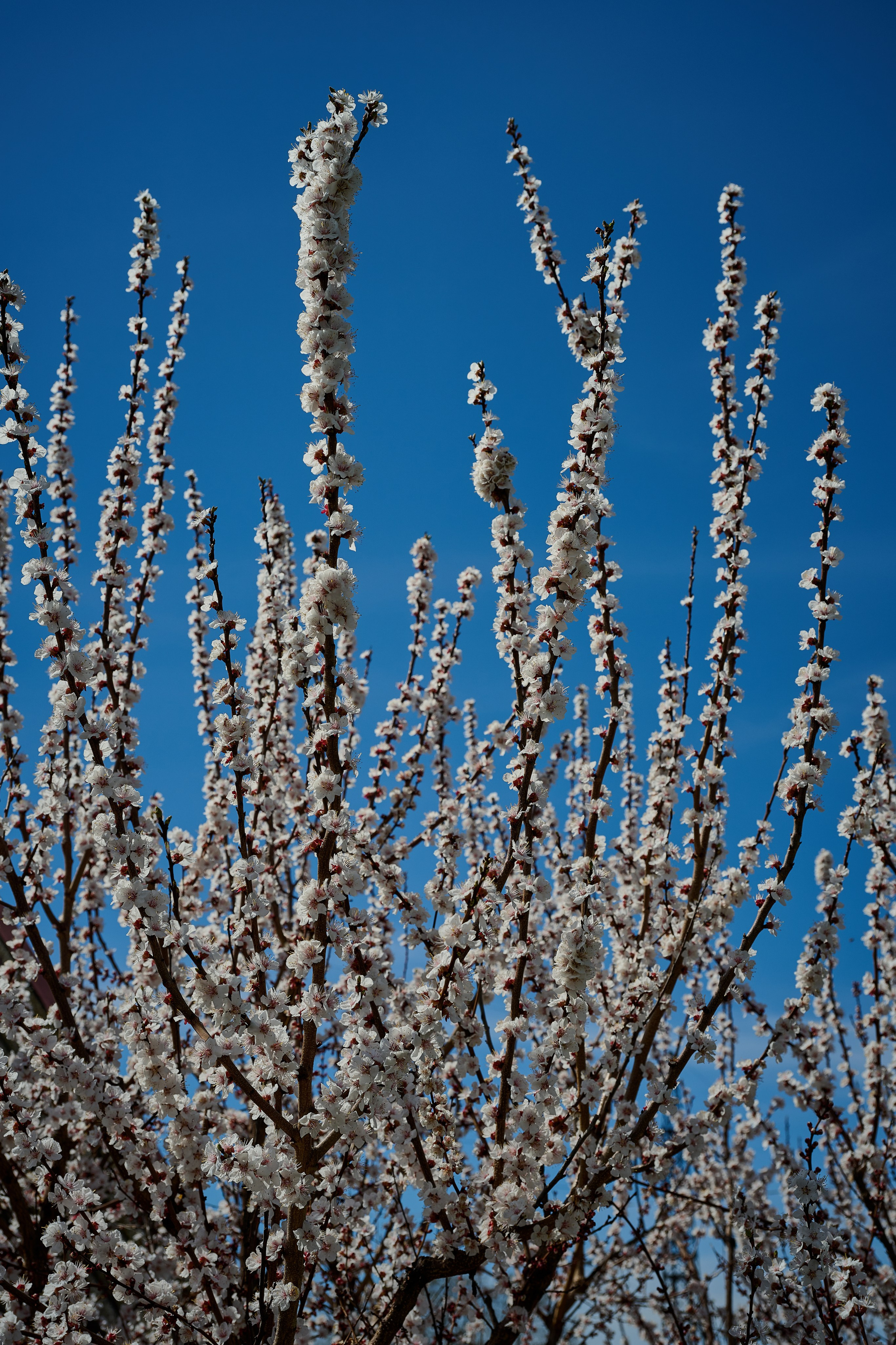 Мелитополь. Фотопроект «Территории»