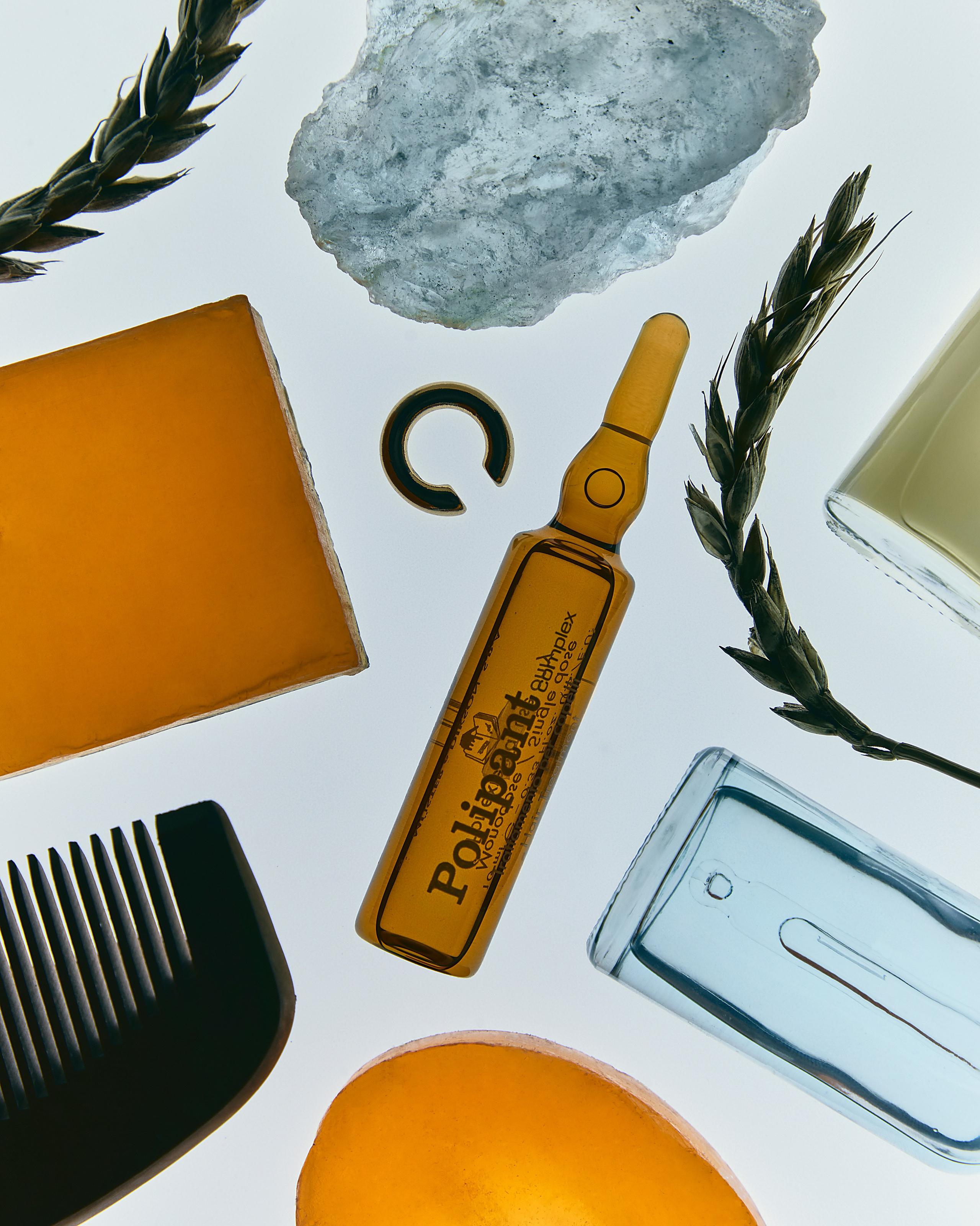 Polipant. Фотограф Елена Вороха. Москва