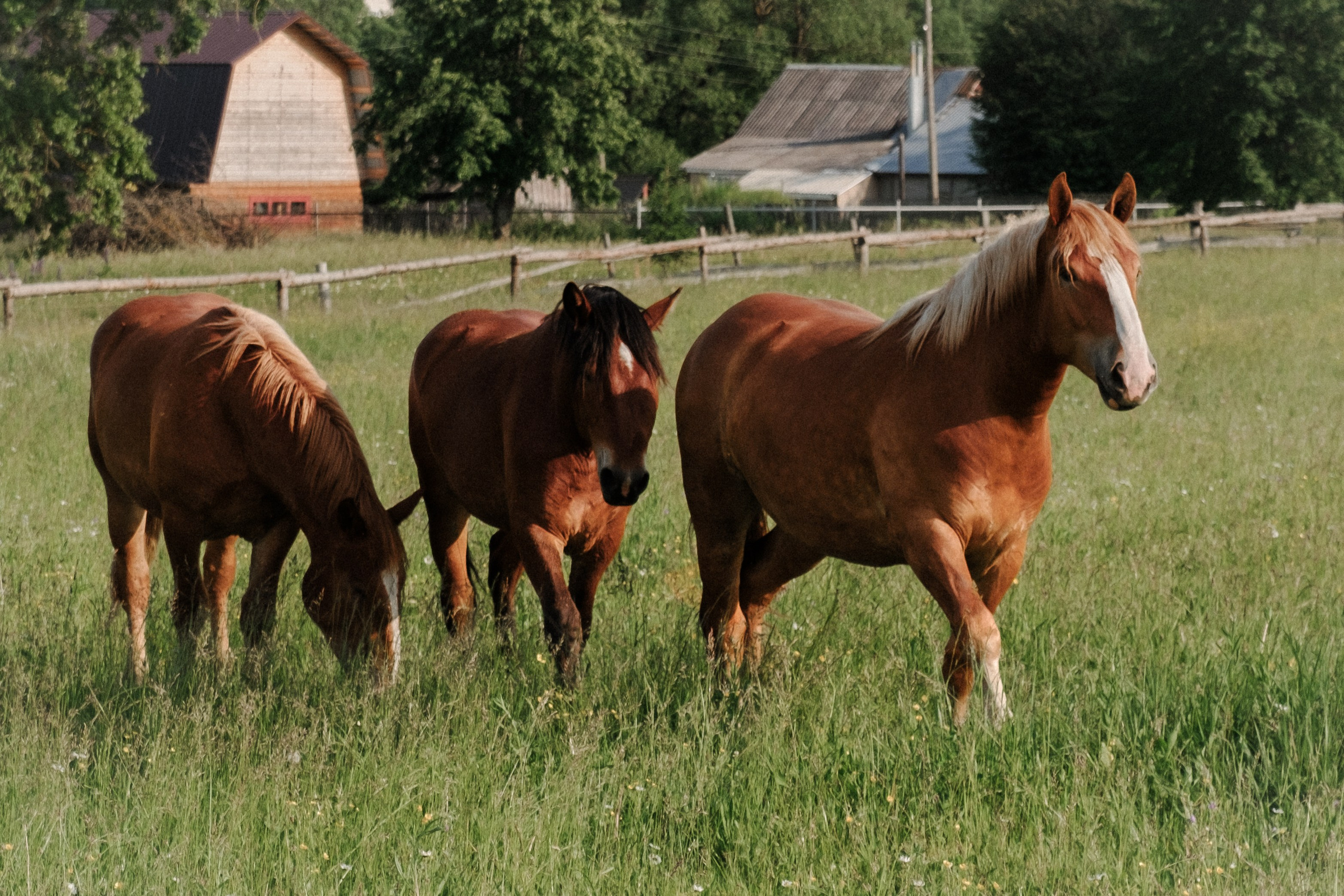 Анна. Фотограф Владимир / Кинешма Мария Верèтина