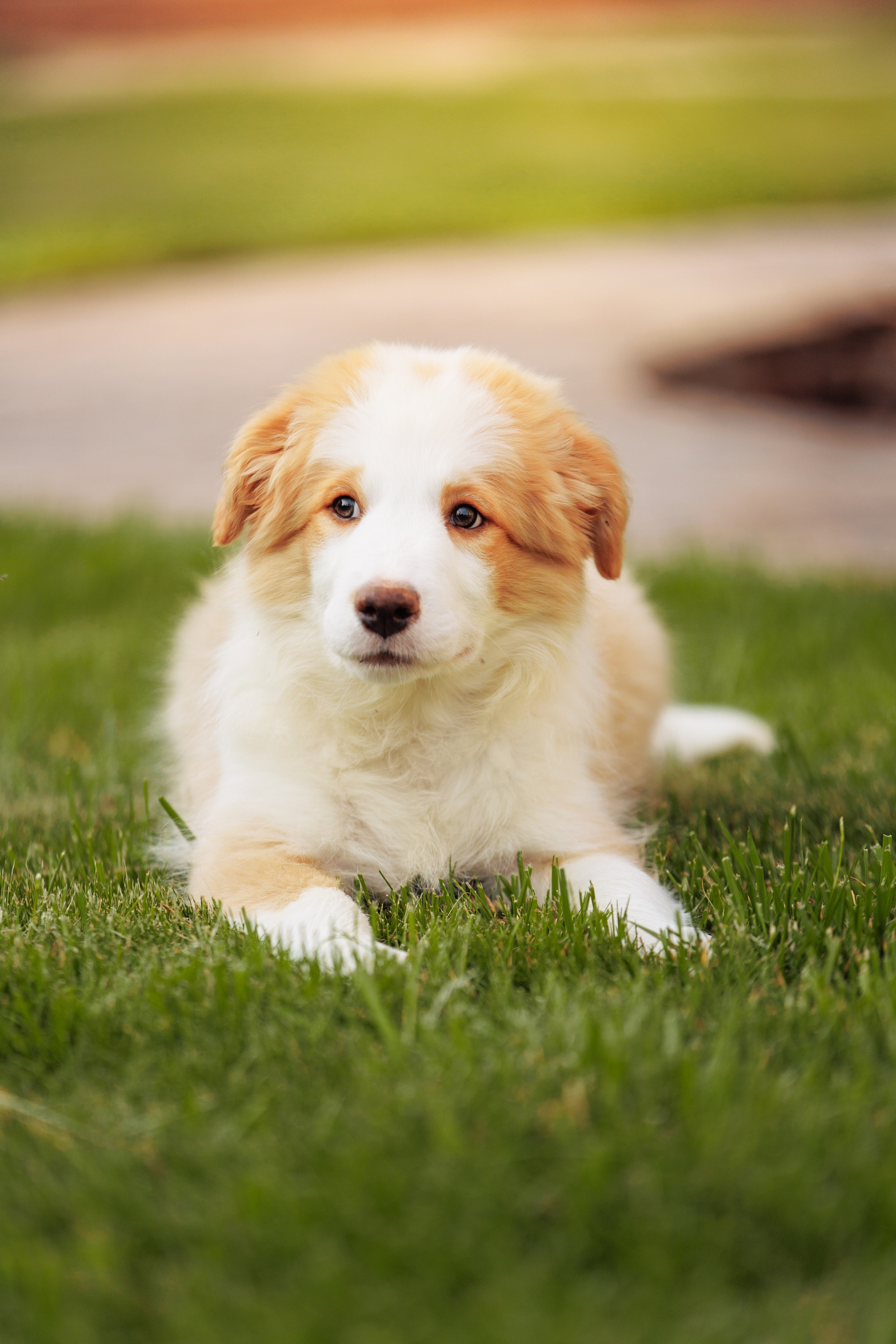 СОлнечные. О нас