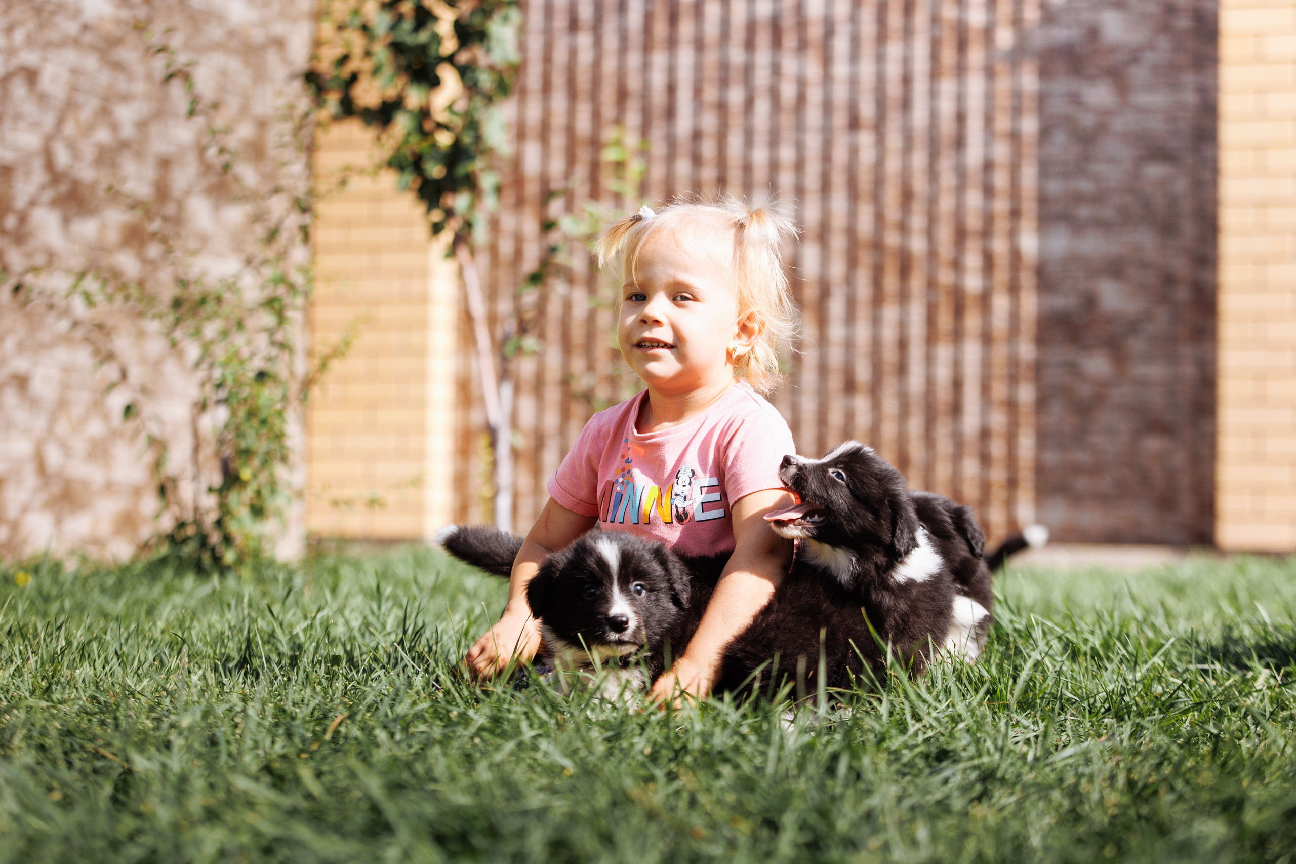 МММ — маленькое мягкое милое. О нас