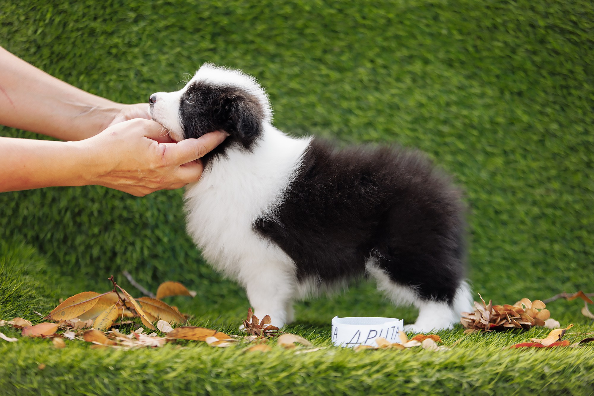 Новый лист. О нас